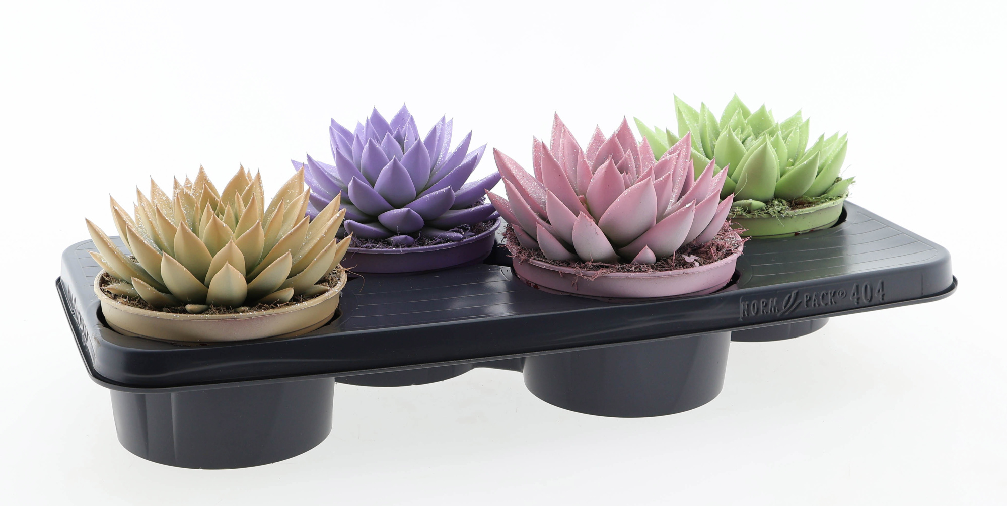 Miranda pastel glittermix, D 15