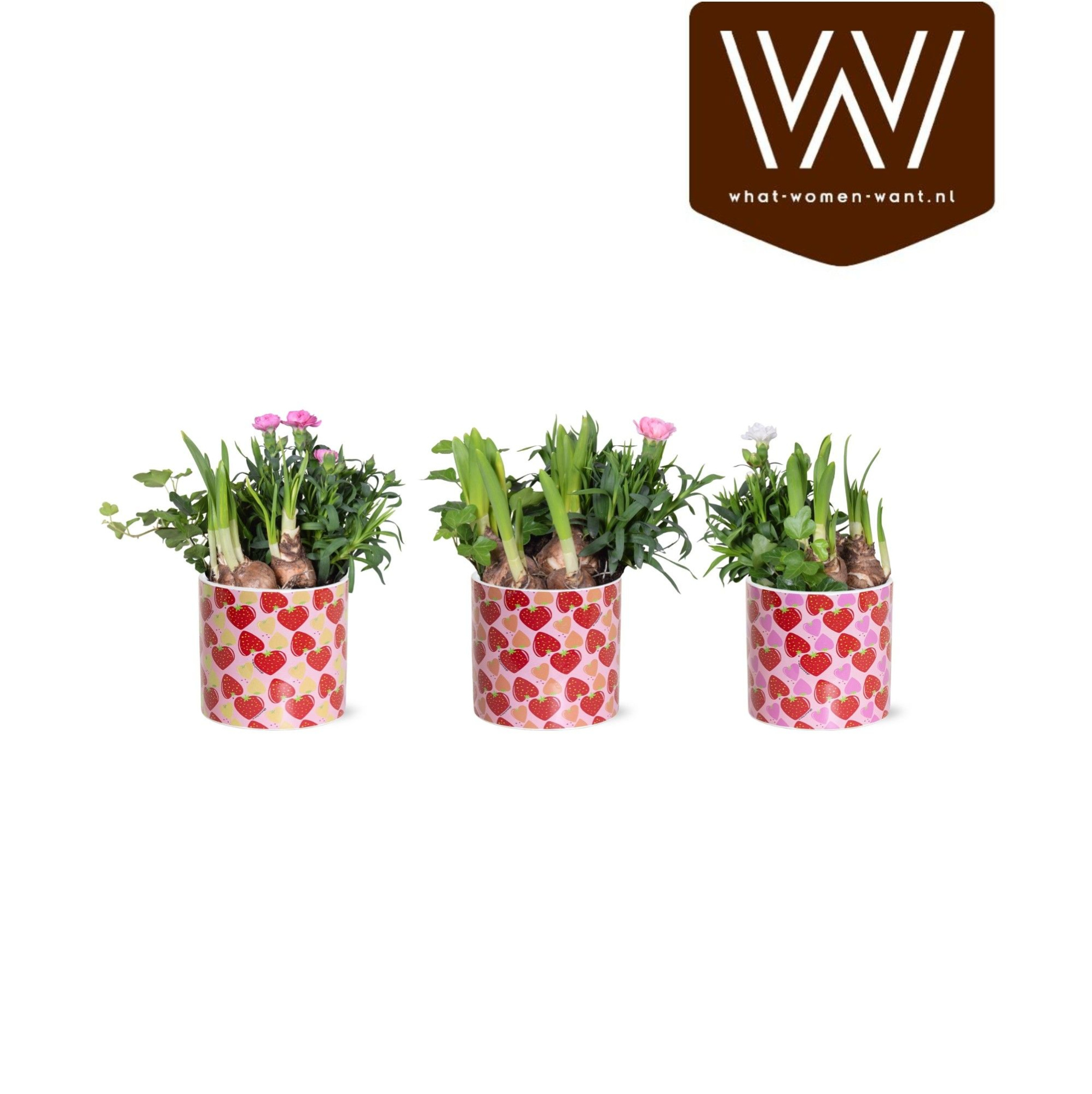 Collectie 'Spicey Blend' - Arrangement in Lonneke, D 13