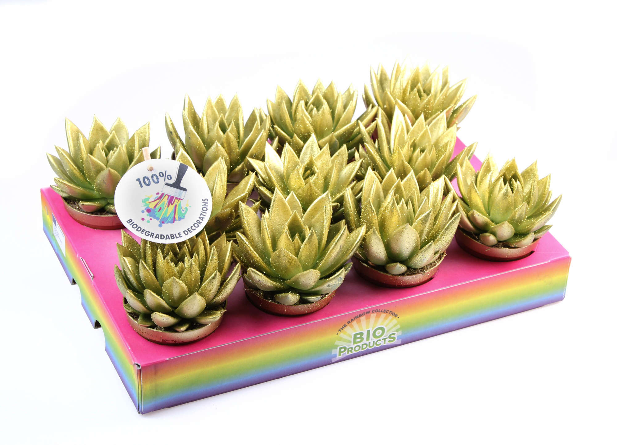 Bio miranda gold glitter, D 8,5