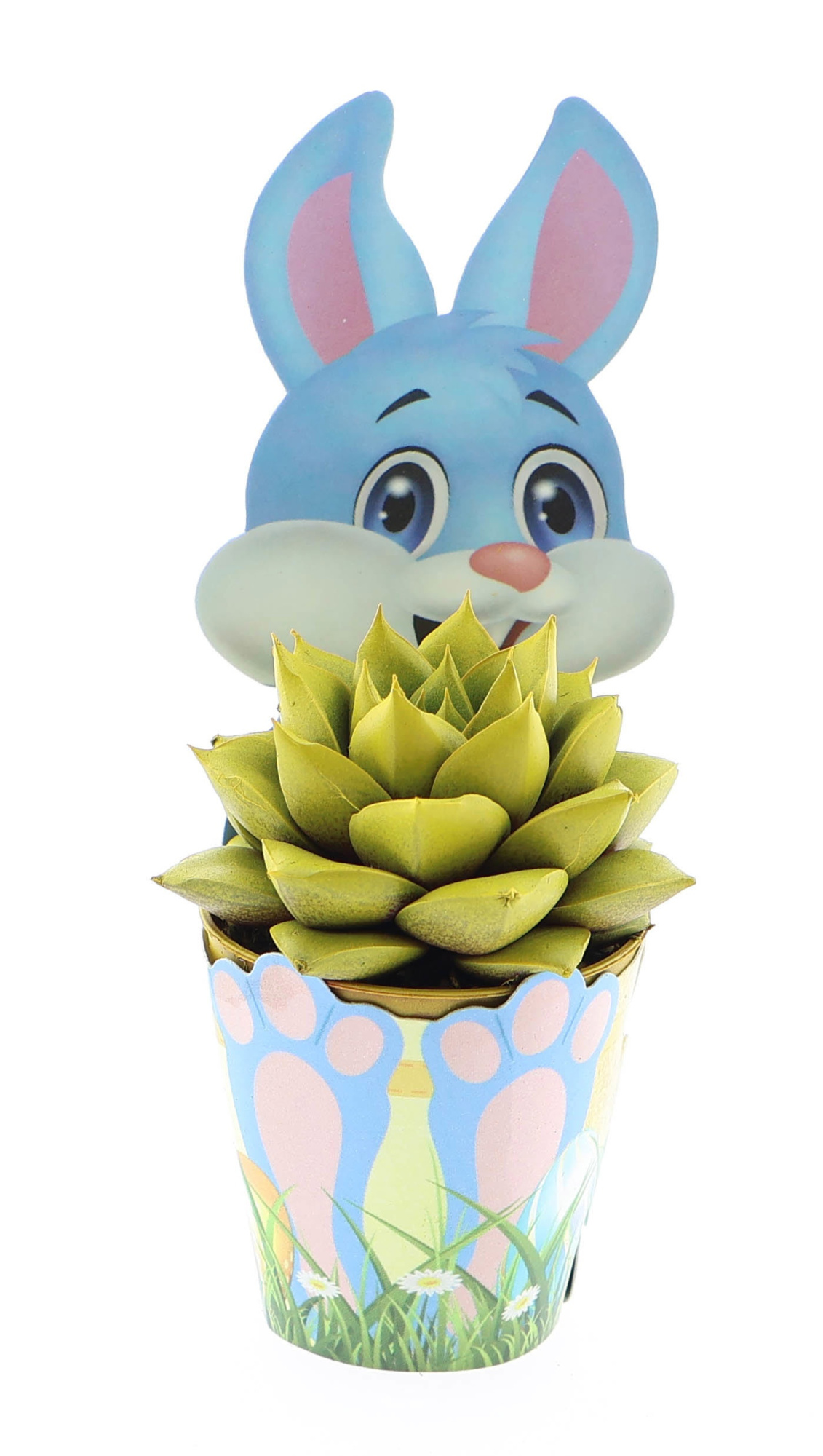 Potcover paashaas purper geel, D 5,5