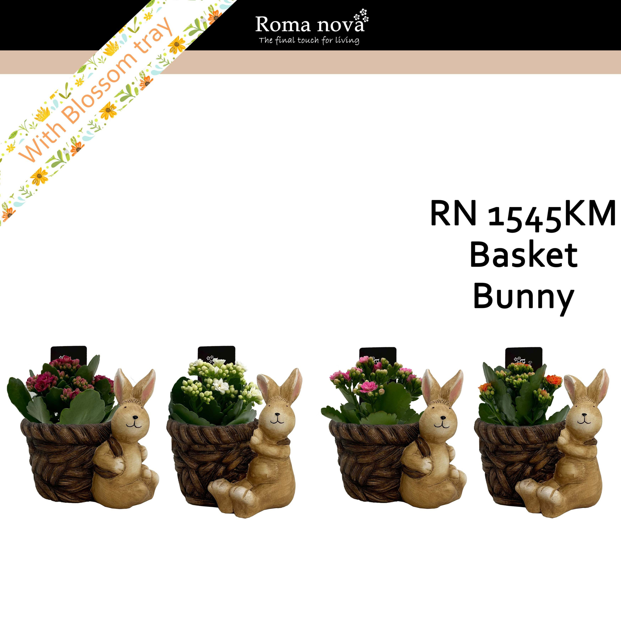 1545KM - Basket Bunny (Kalanchoe mix), D 14