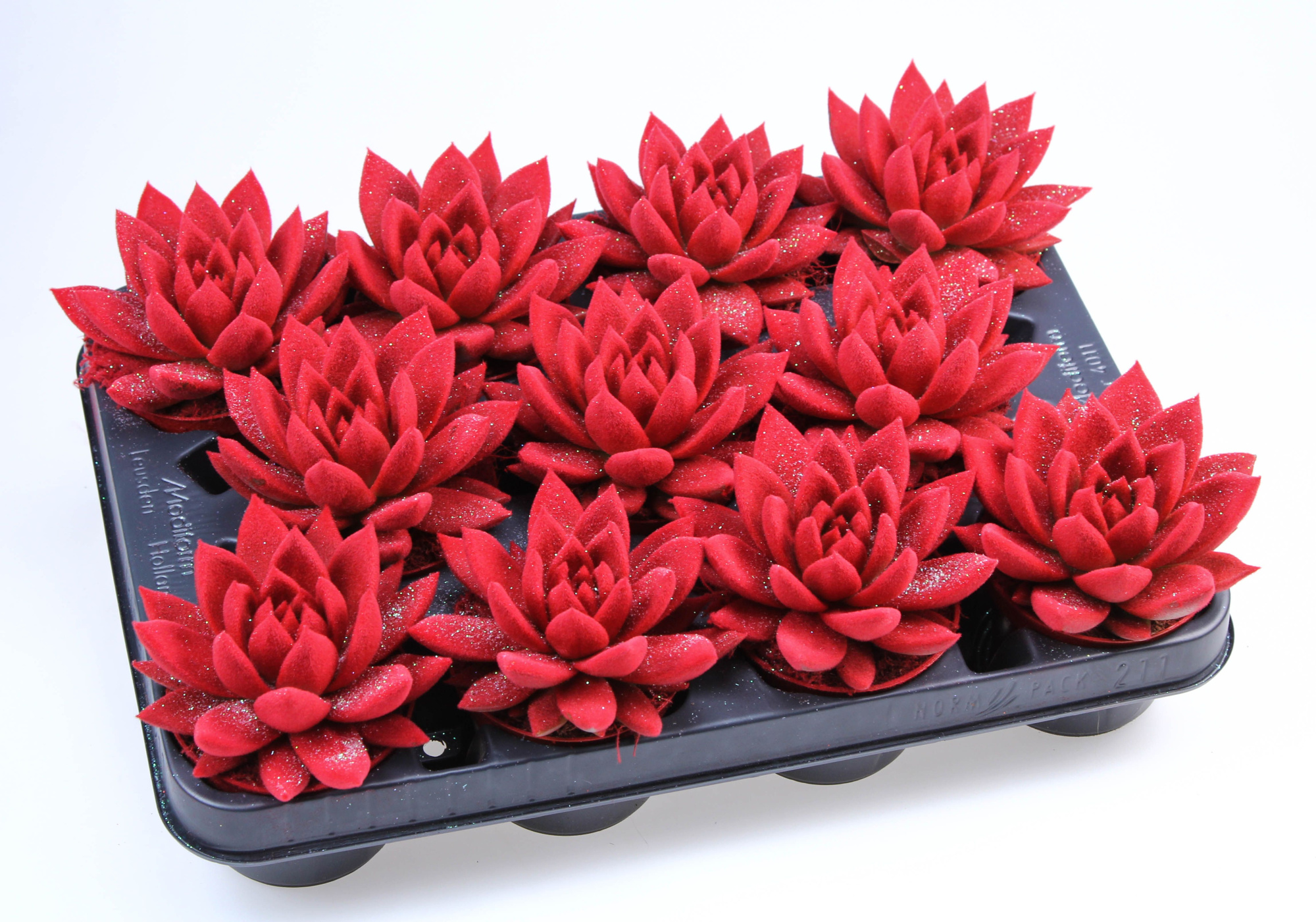 Velvet rood + glitter, D 8,5