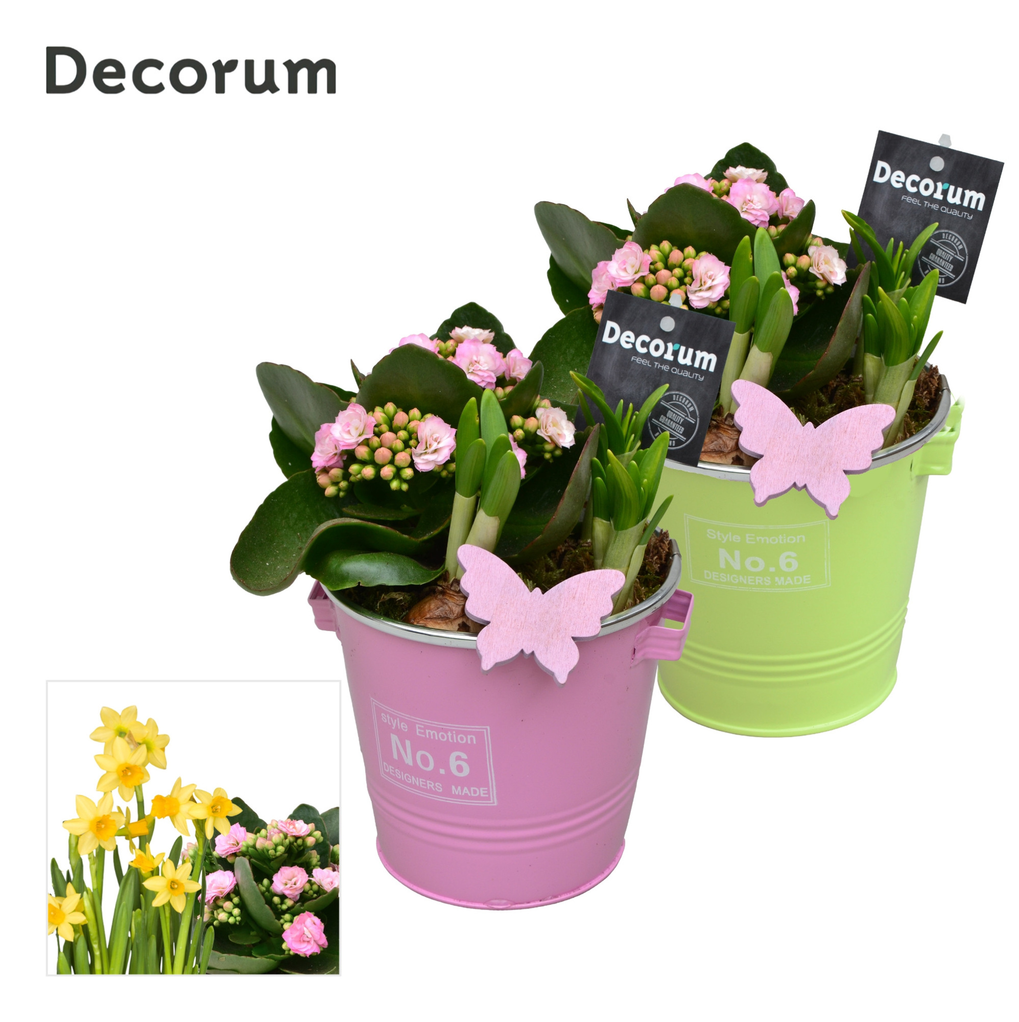Calandiva & Narcis Colourful Bucket GM HL26587, D 13