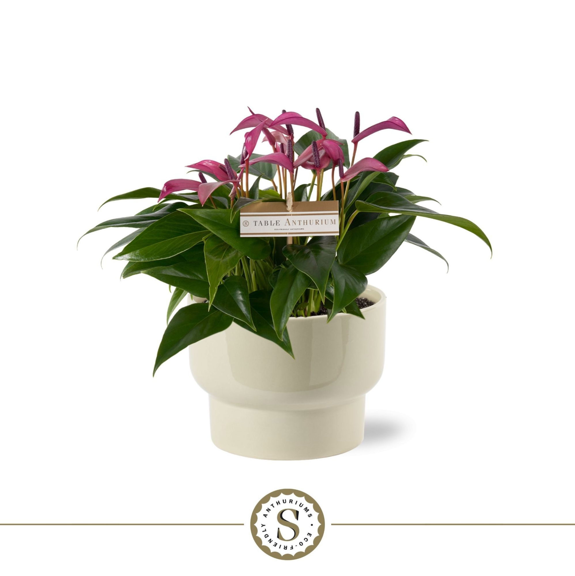 Athene Keramiek Taupe - Zizou, D 17