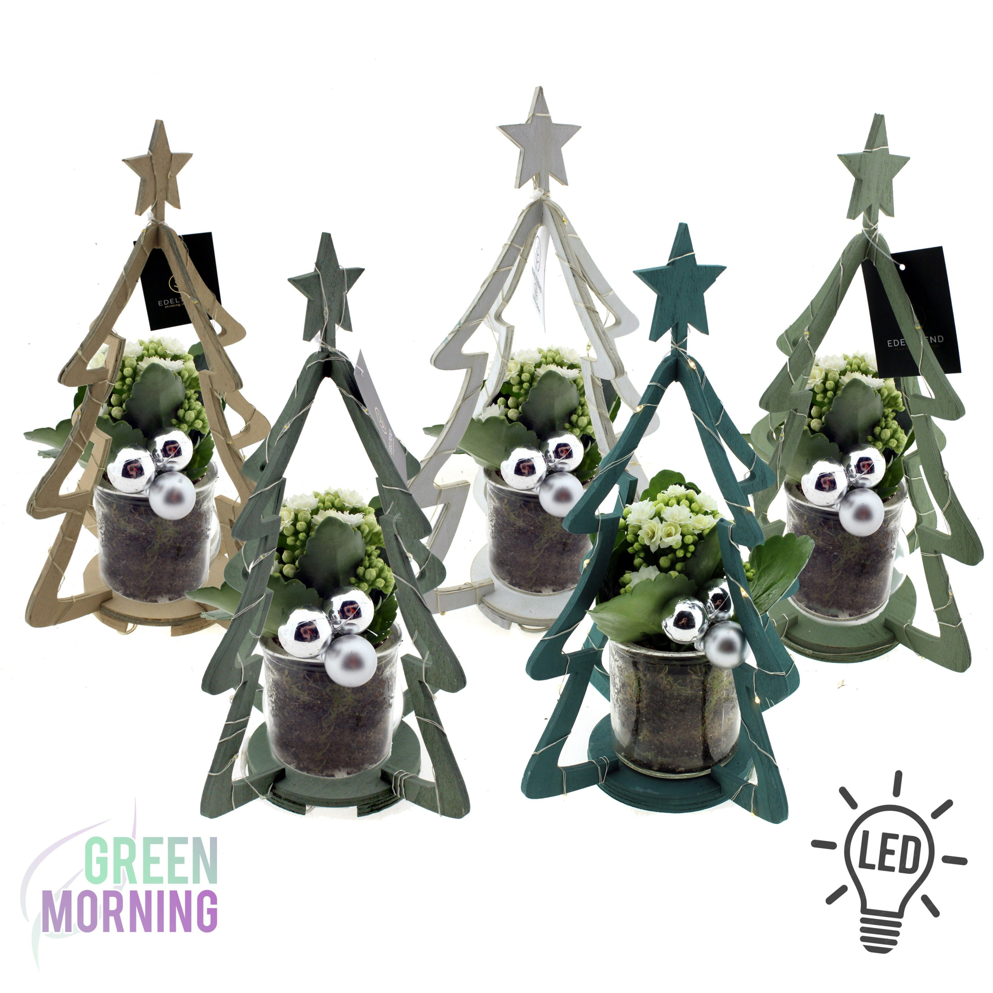 Kalanchoe wit in houten Xmas tree ( LED ) 15 x H30 cm, D 15 cm