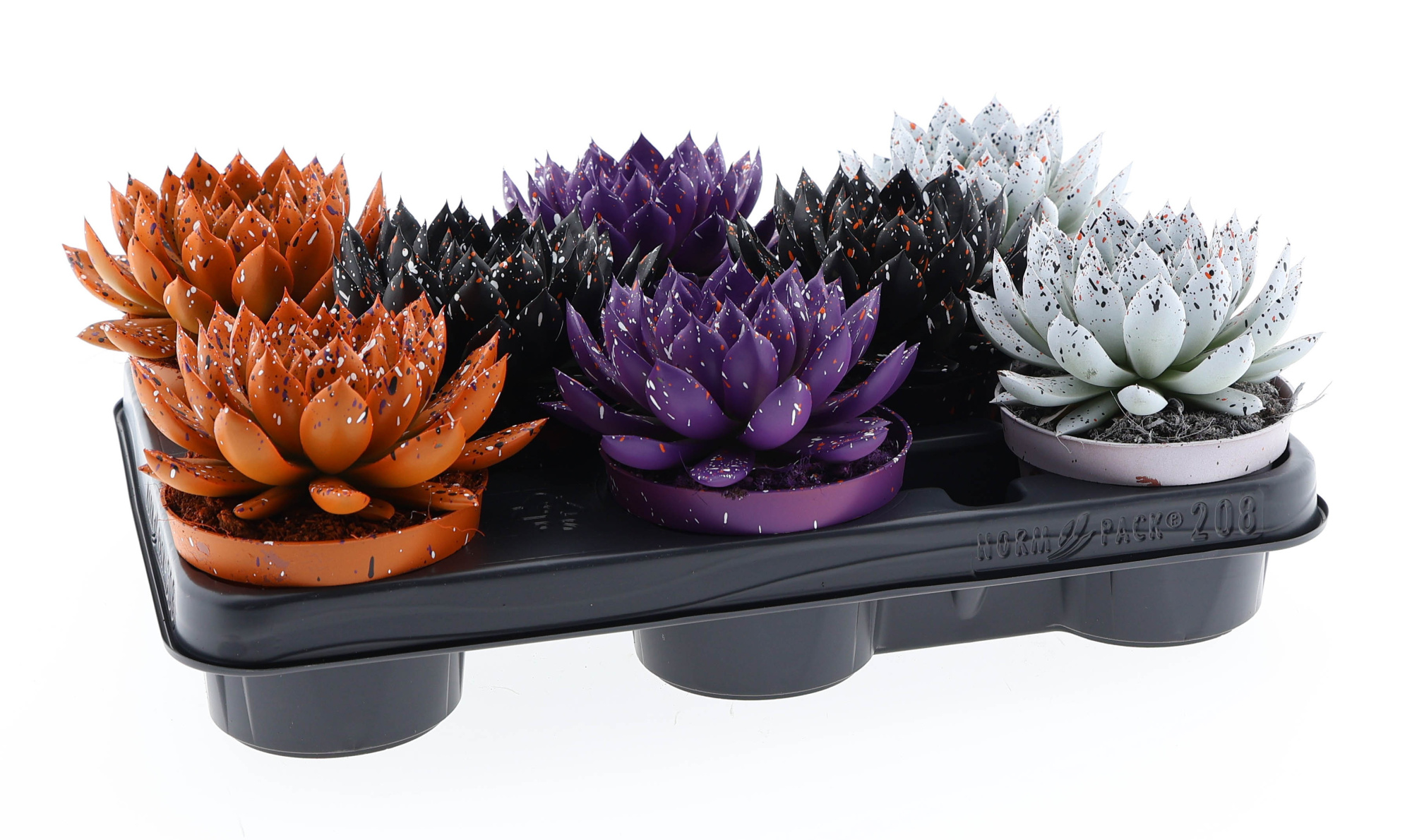 Halloween sprinkle mix, D 10,5