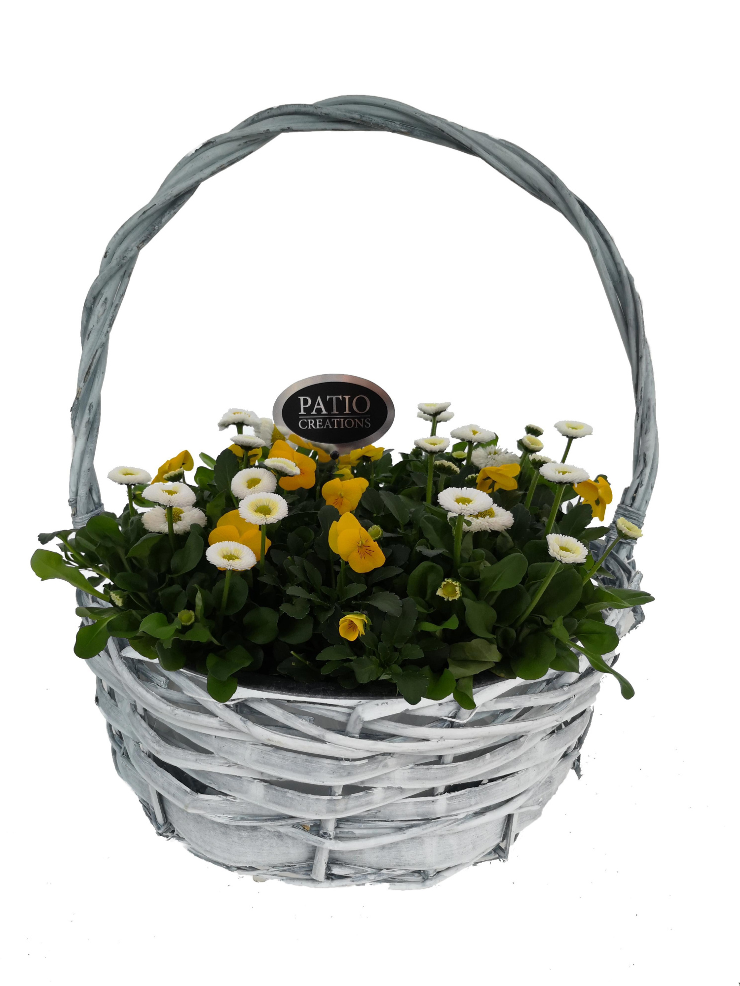 VB613-602 Viola-Bellis Hengselmand laag D30, D 31