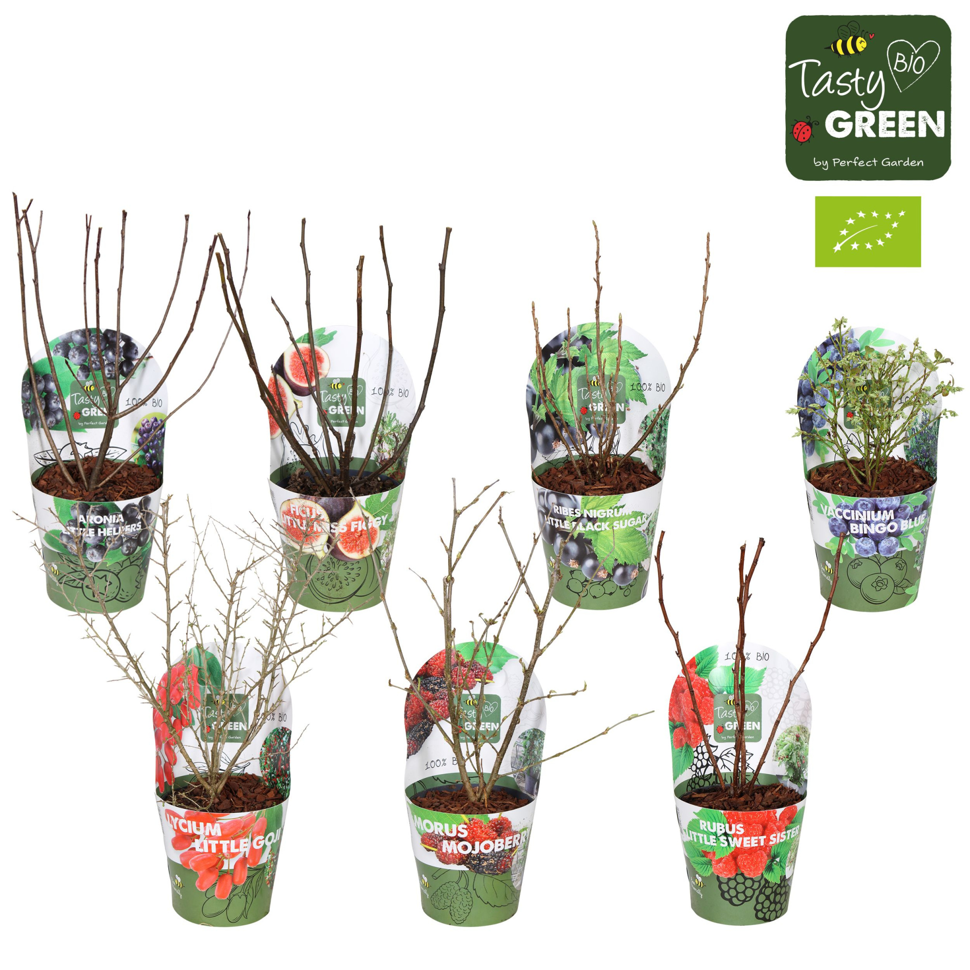 Fruit mix tray potcover Bio P14, D 14