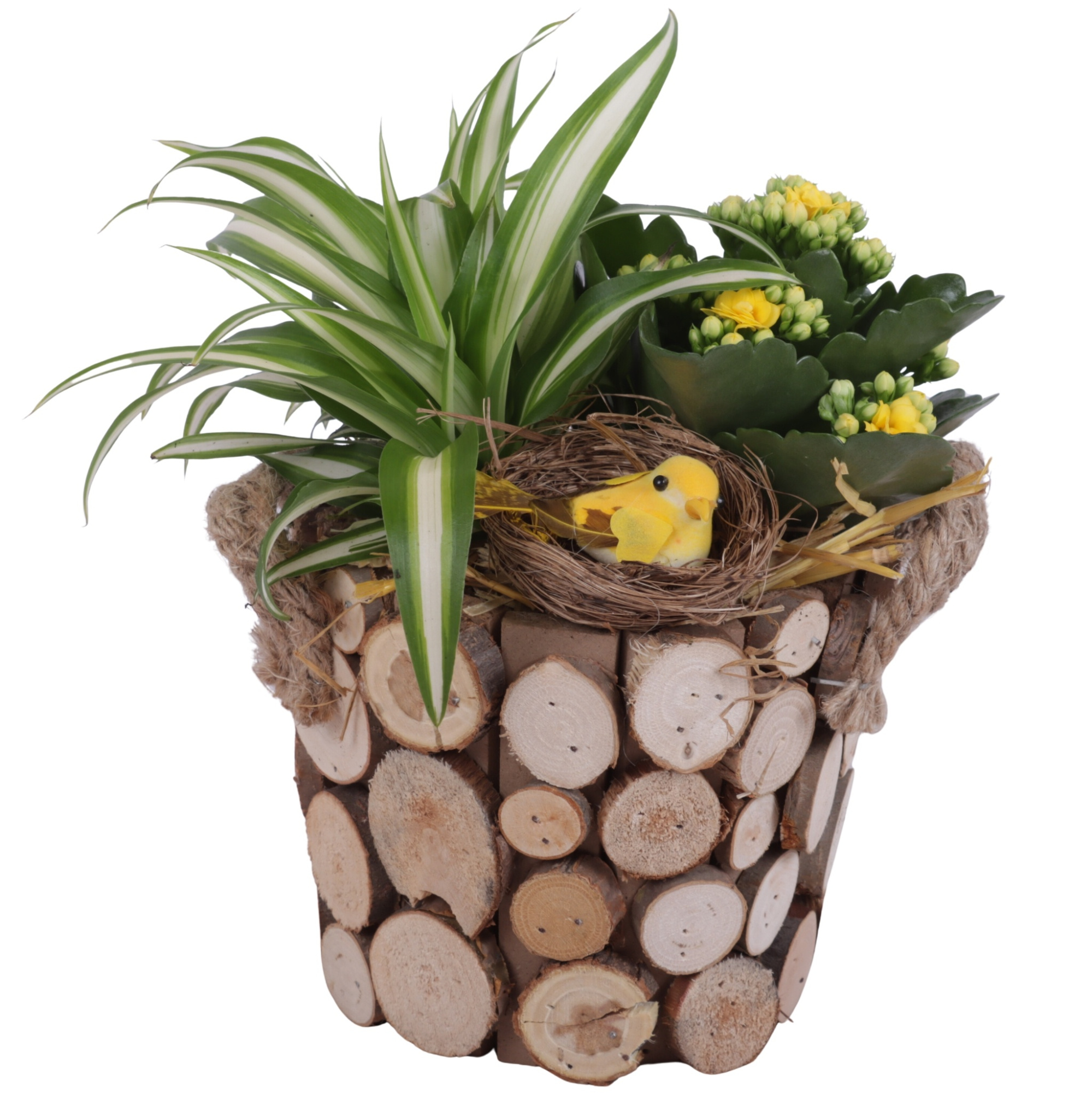 Easter Arr. Indoor Wooden Pot Round Tree Chucks Ø16cm 2PP, D 16