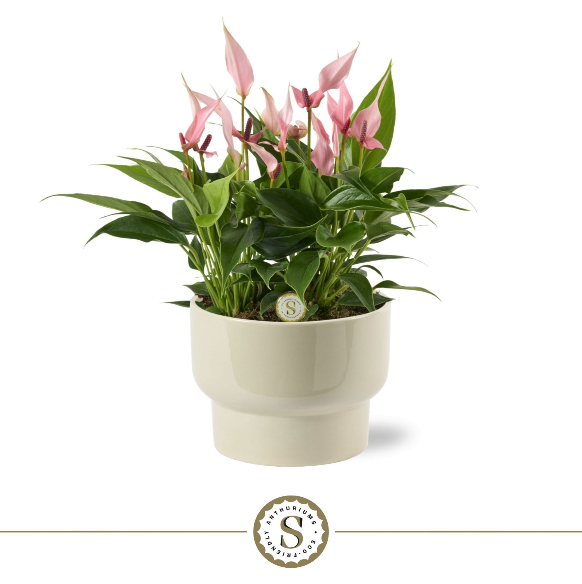 Athene Keramiek Taupe - Lilli, D 17