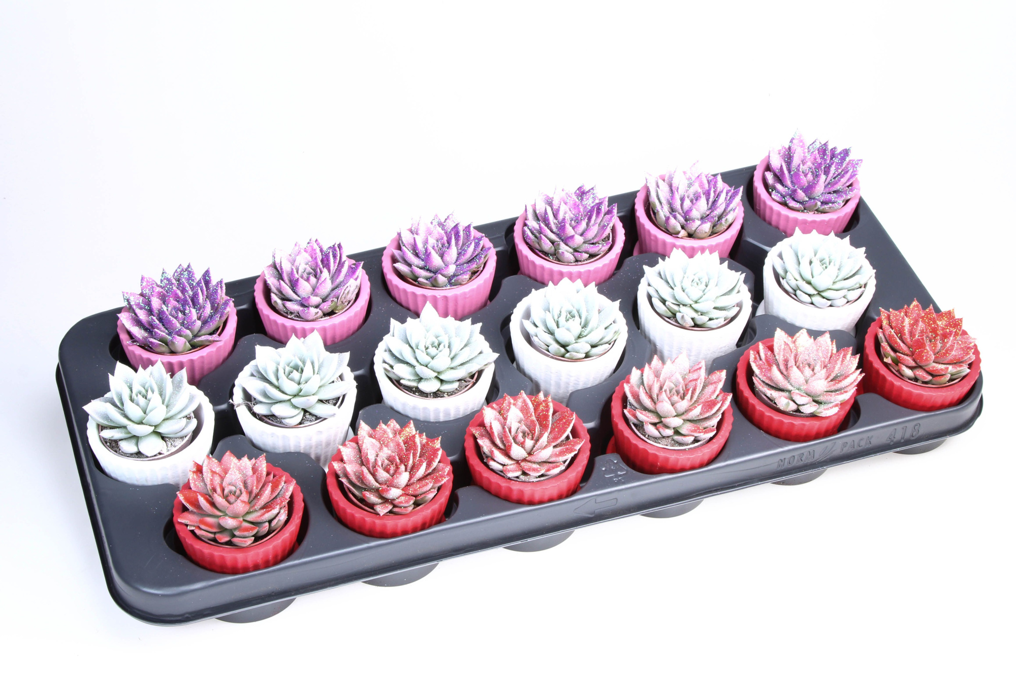 Miranda Valentine glittermix Cupcake pot, D 6,5