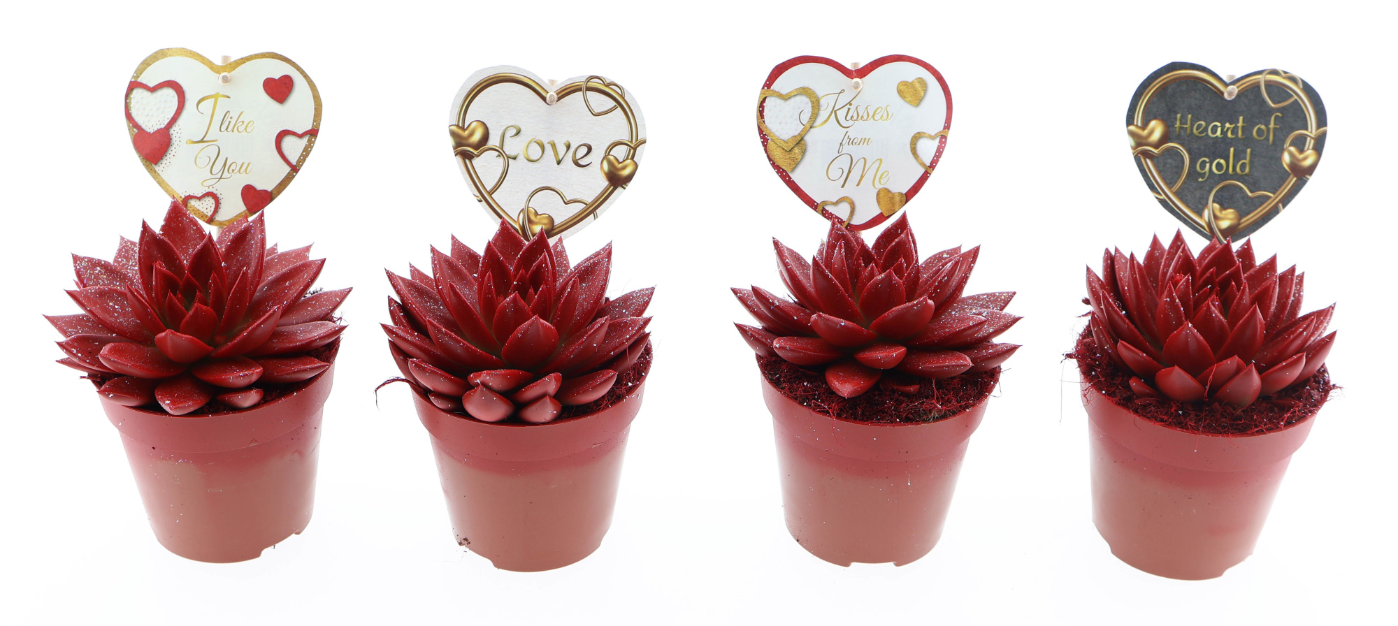 Miranda rood glitter + love etiket, D 12