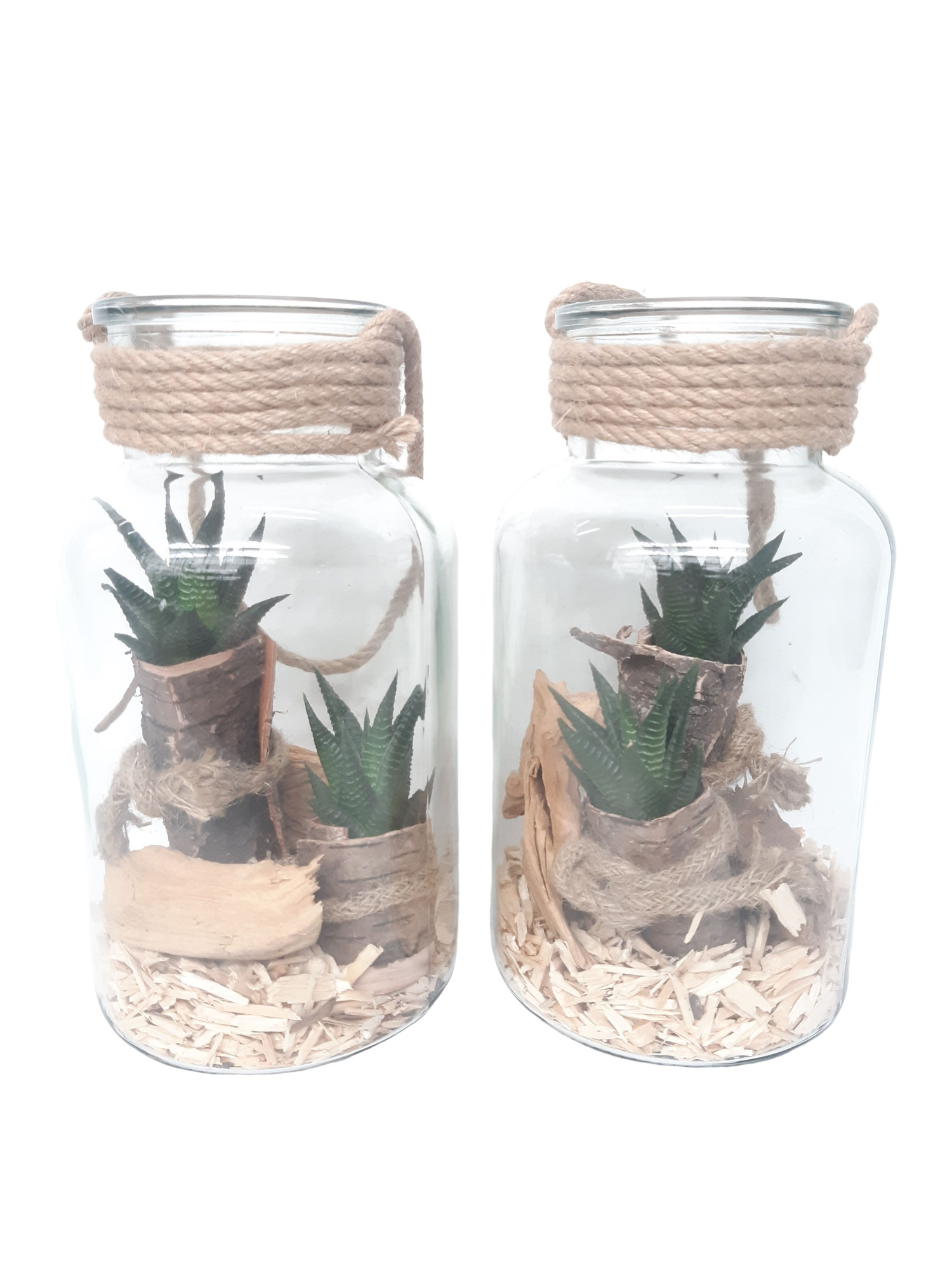 814BMS Fles / Terrarium 14/26 Haworthia in schors, D 14