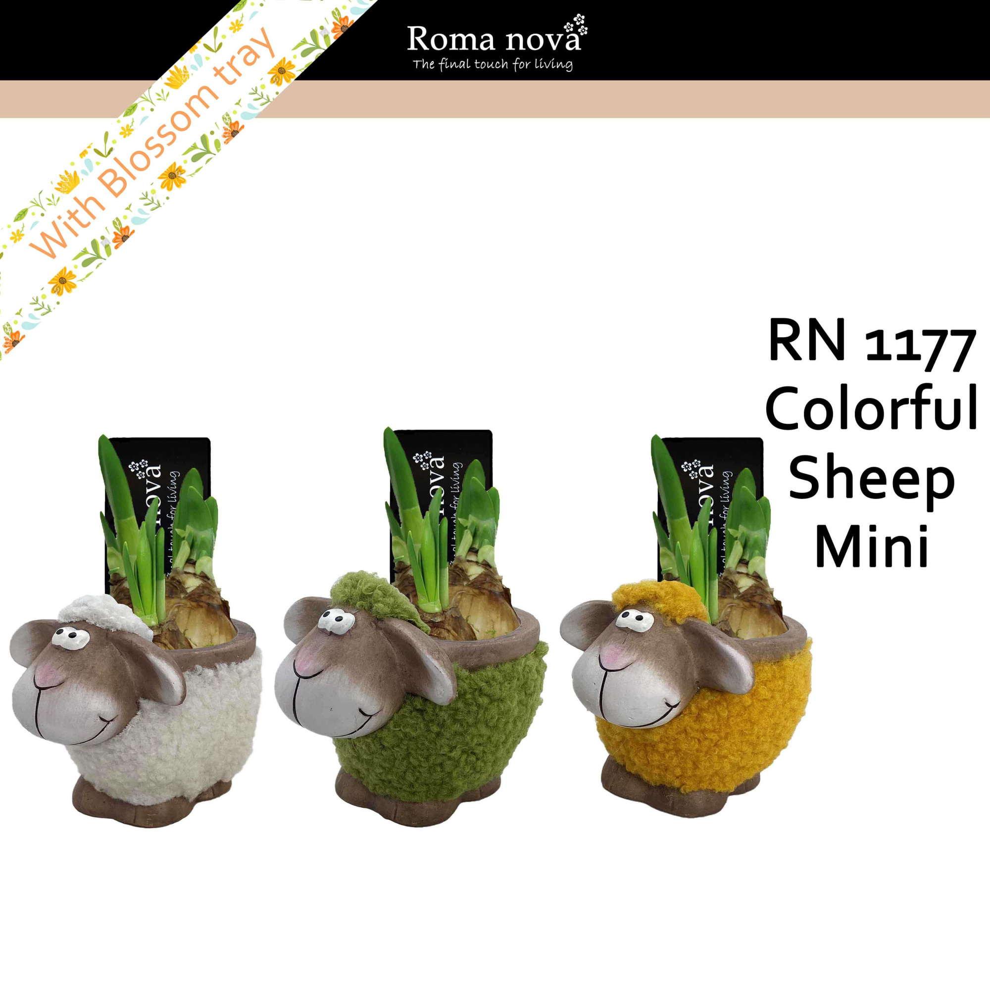 1177 - Colorful Sheep mini (Tete a Tete), D 12
