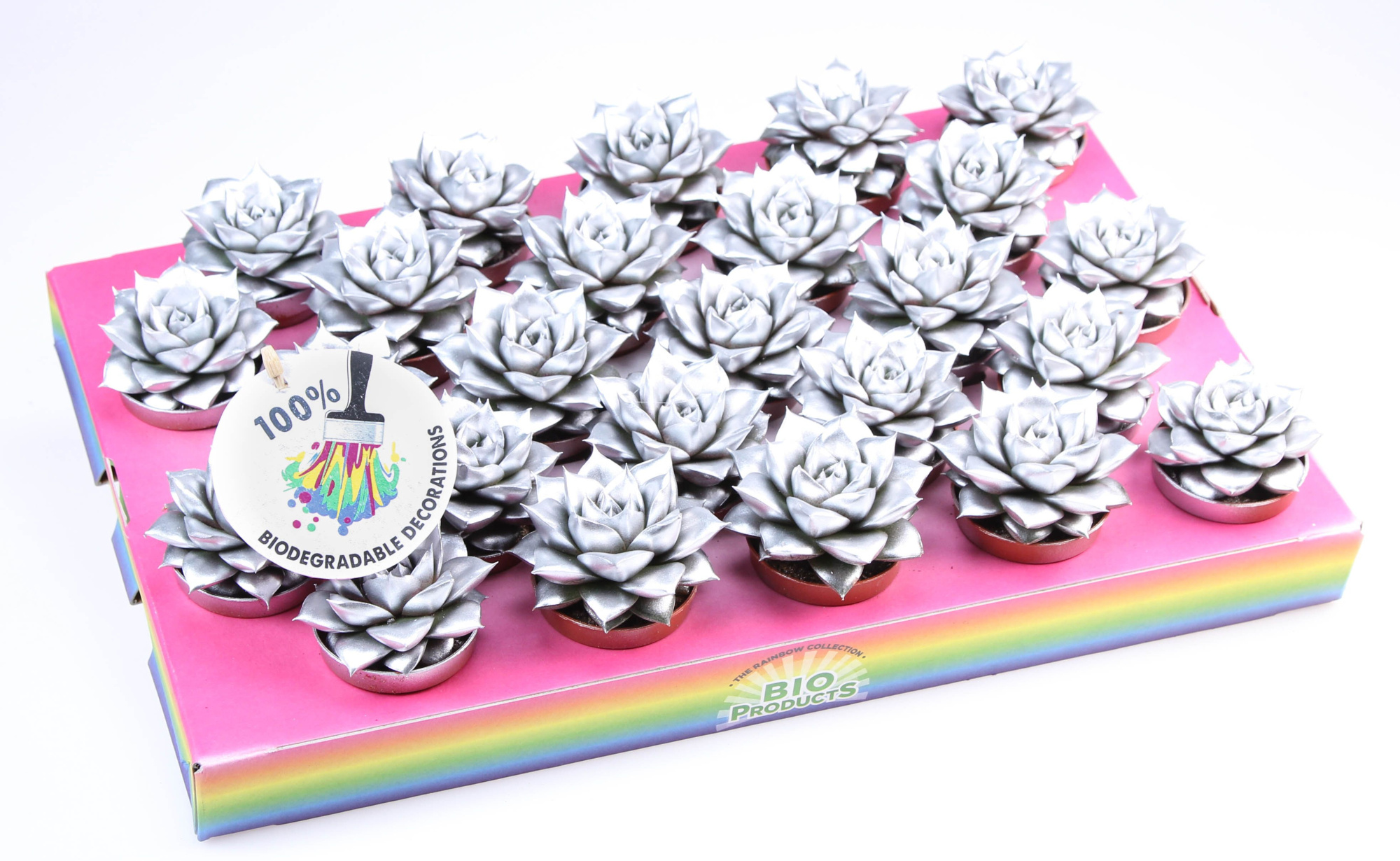 Bio purper rainbow silver, D 5,5