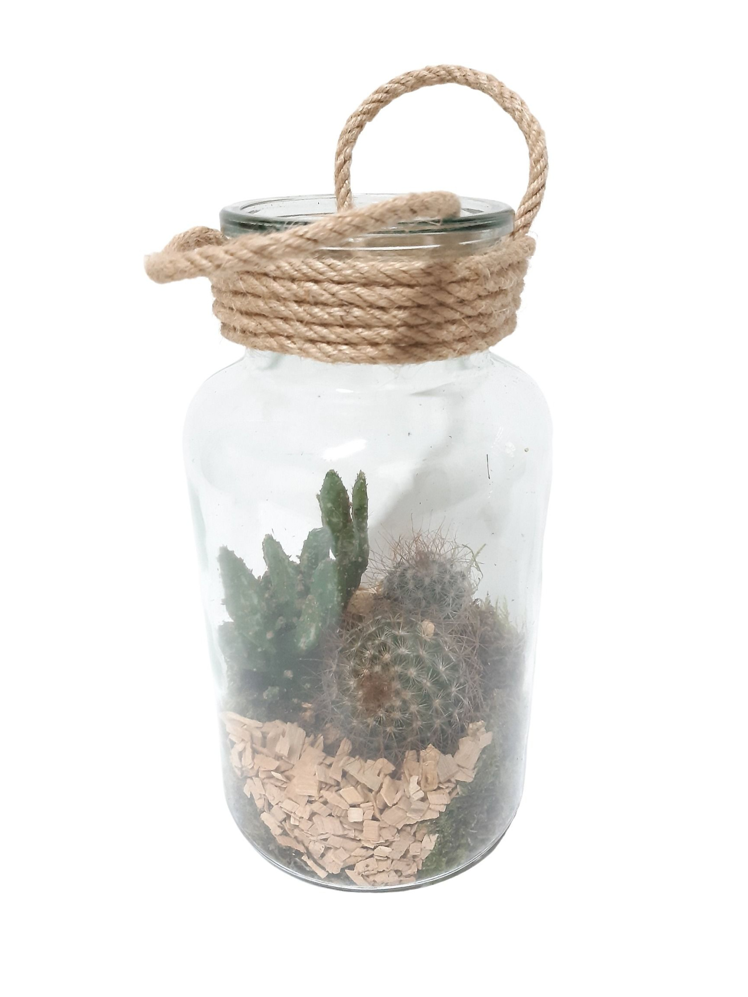 714 CTS Fles / Terrarium 14/26 mini Cactusmix, D 14