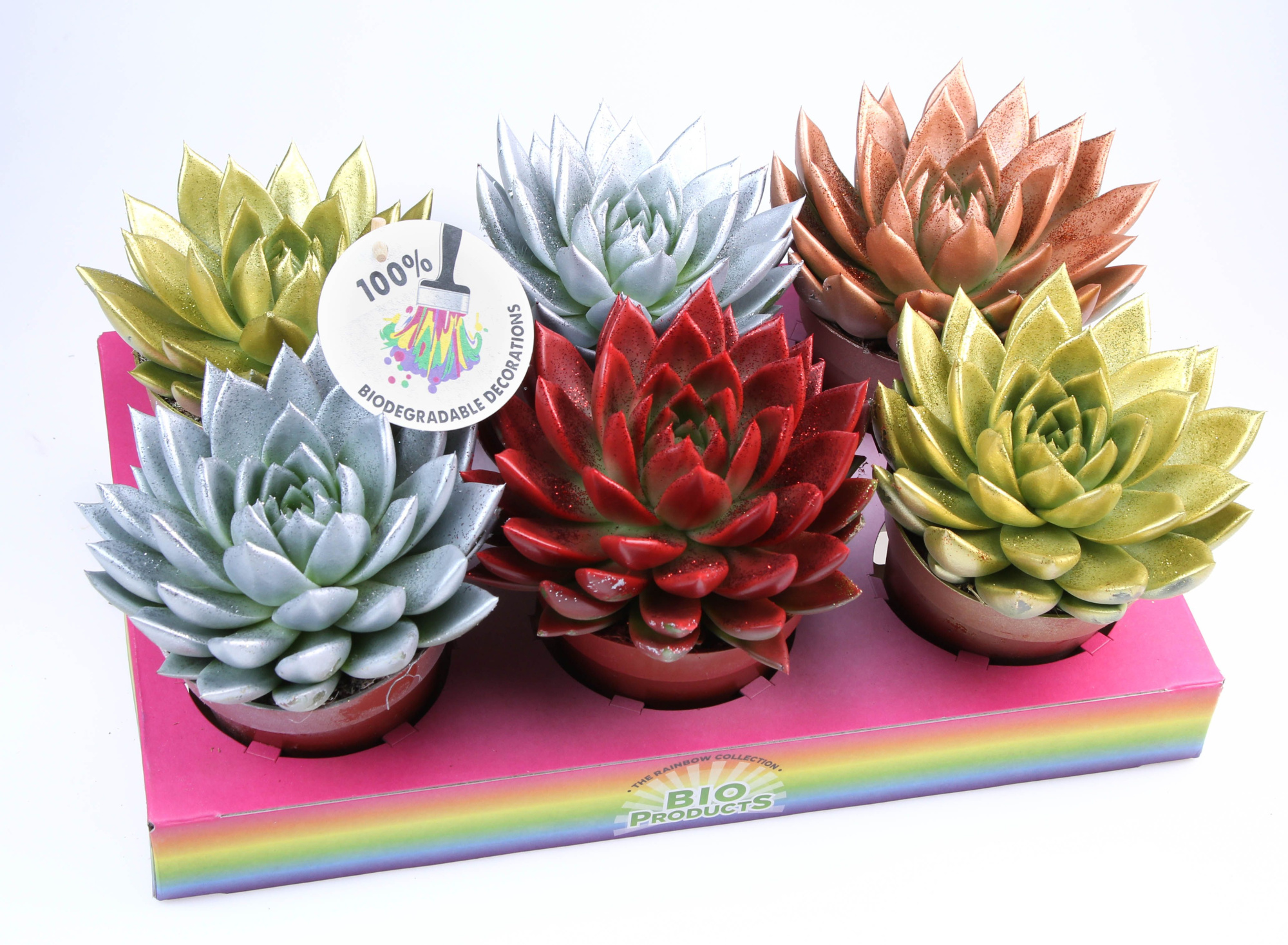 Bio miranda glitter mix, D 12