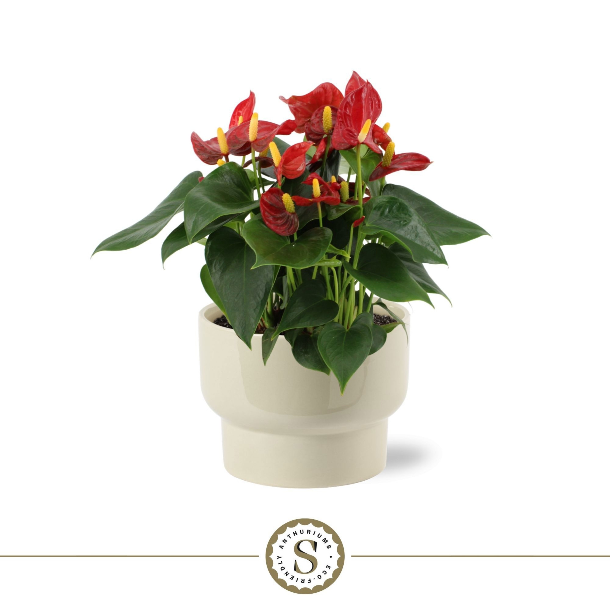 Athene Keramiek Taupe - Red, D 17