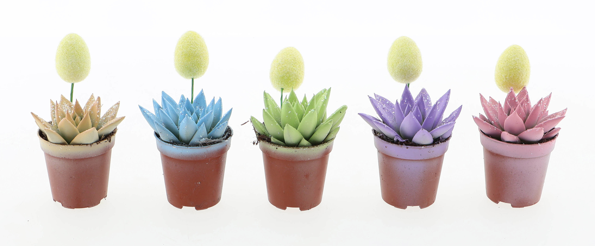 Miranda pastel glitter mix + ei, D 5,5