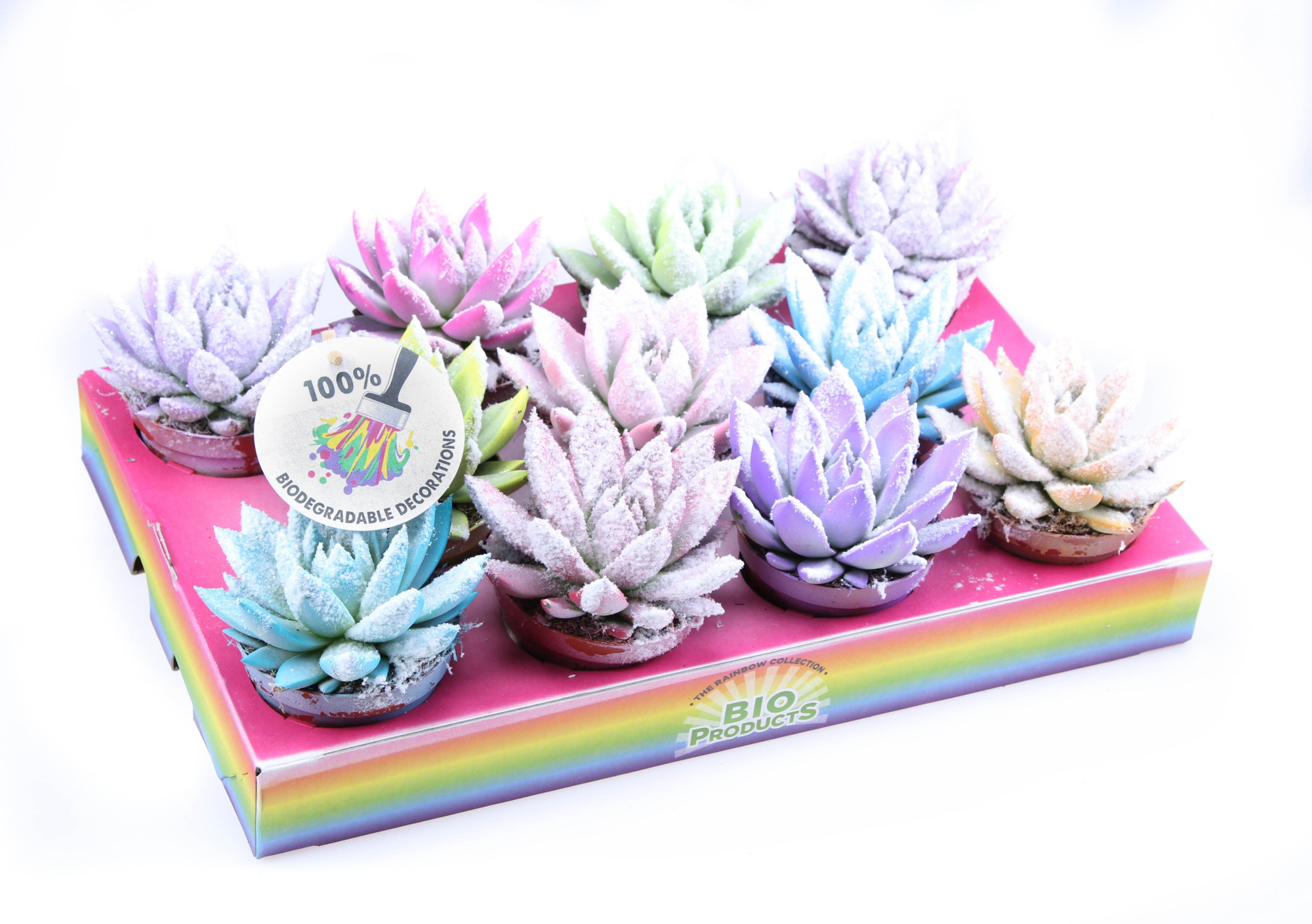 Rainbow Bio snow, D 8,5