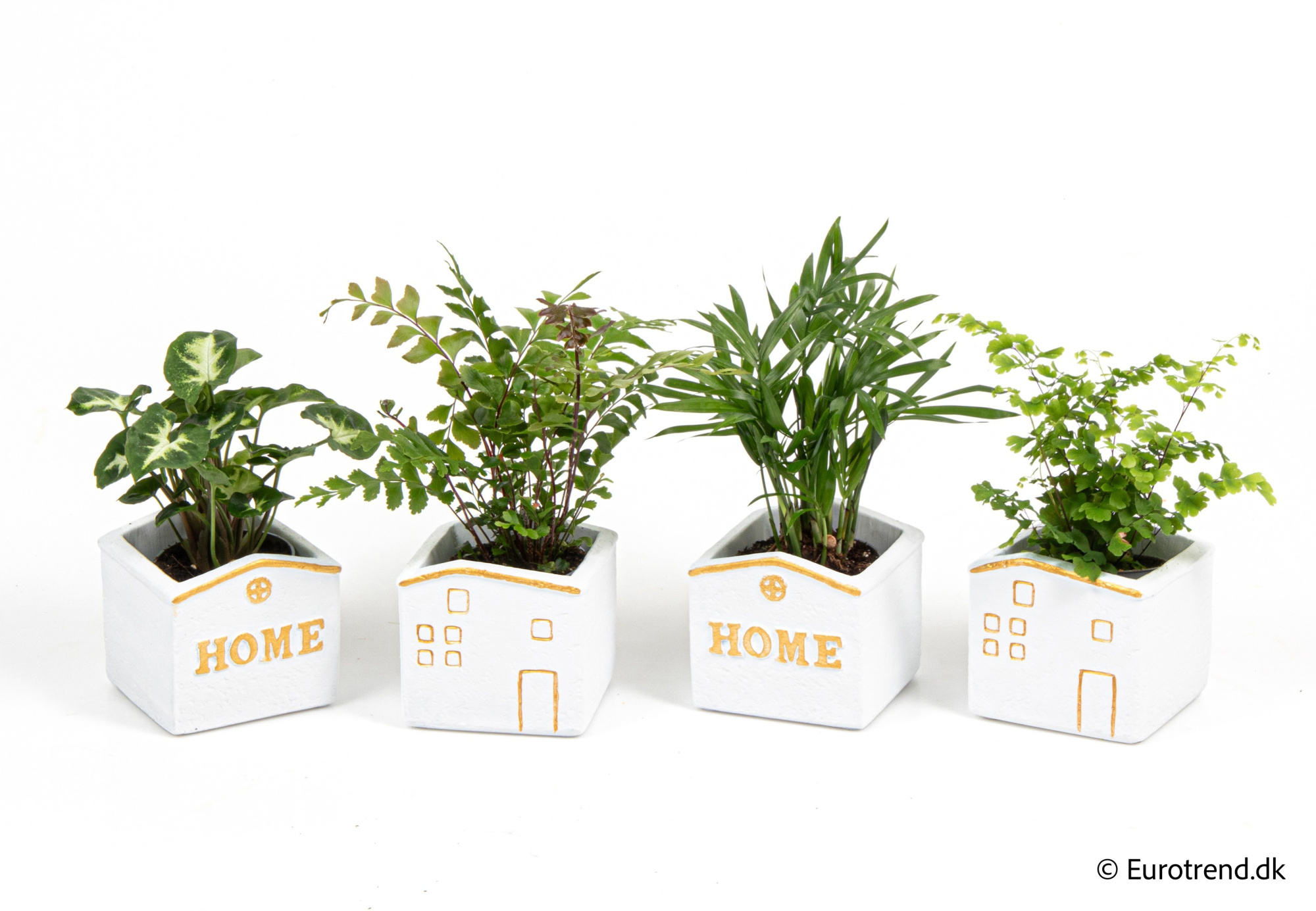 Green mix in New Look ceramic 2026, D 6