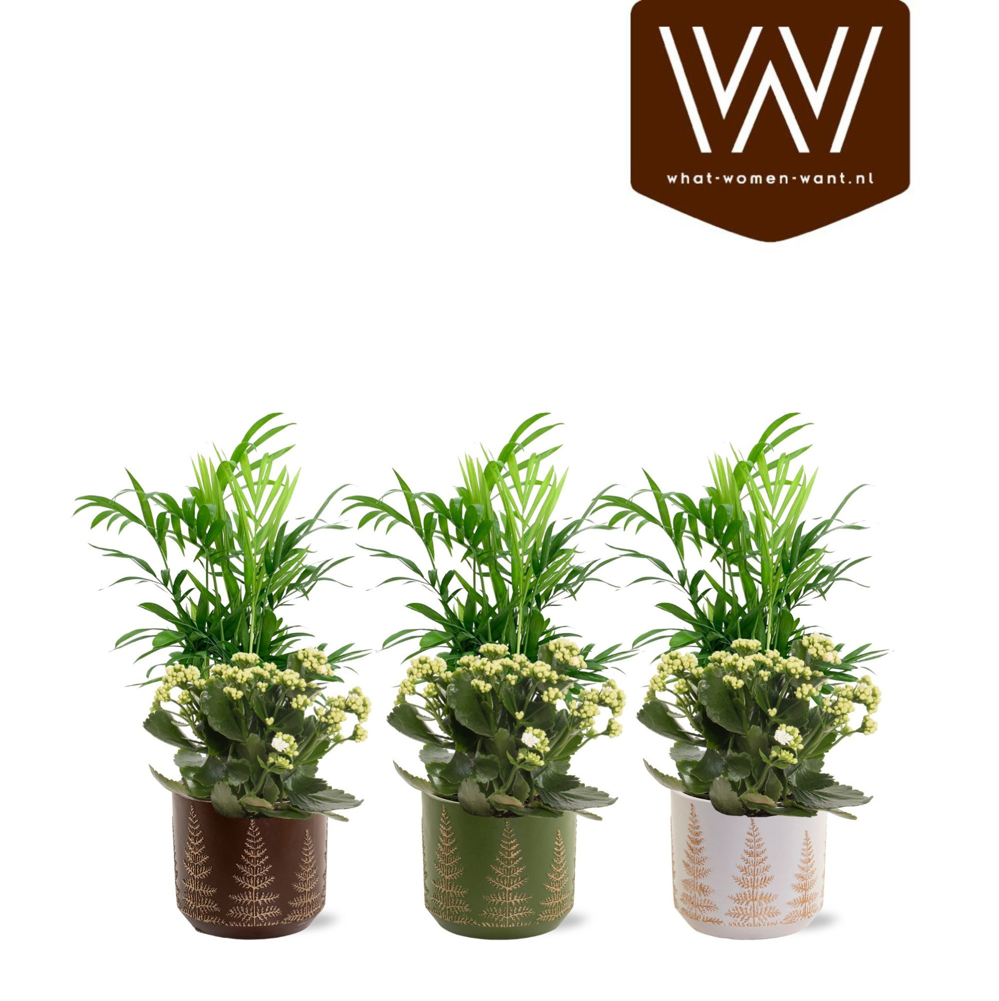 Collectie"Naturel Bubble''Arrangementen keramiek Mick, D 12