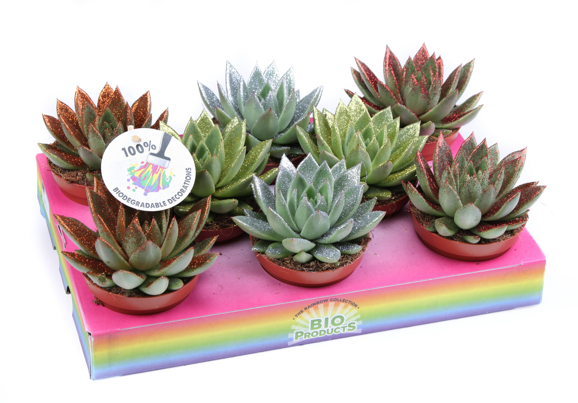 Bio miranda naturel glitter mix, D 10,5