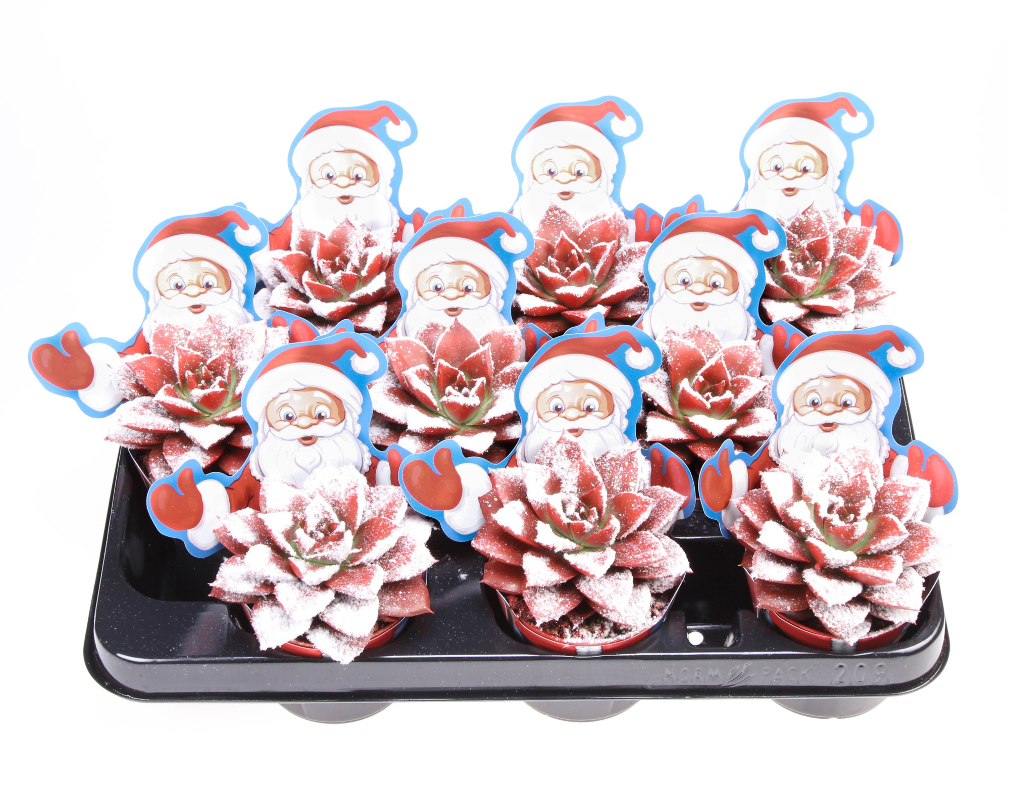 Potcover santaclaus purper snowy + bio snow, D 8,5