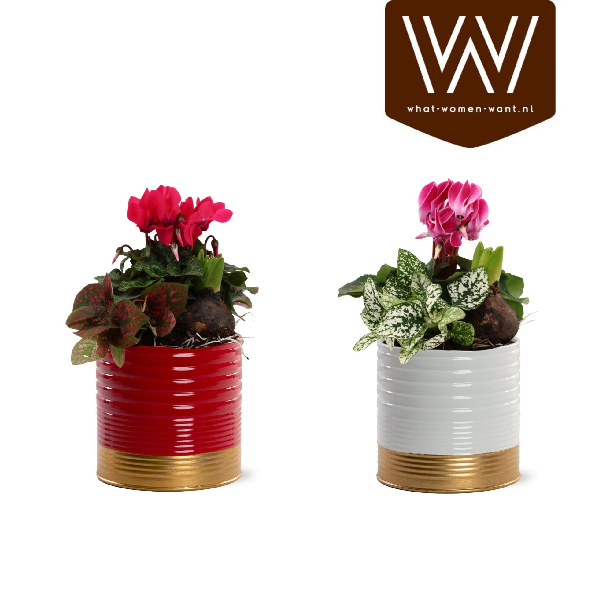 kerst Arrangement Nola zink, D 12