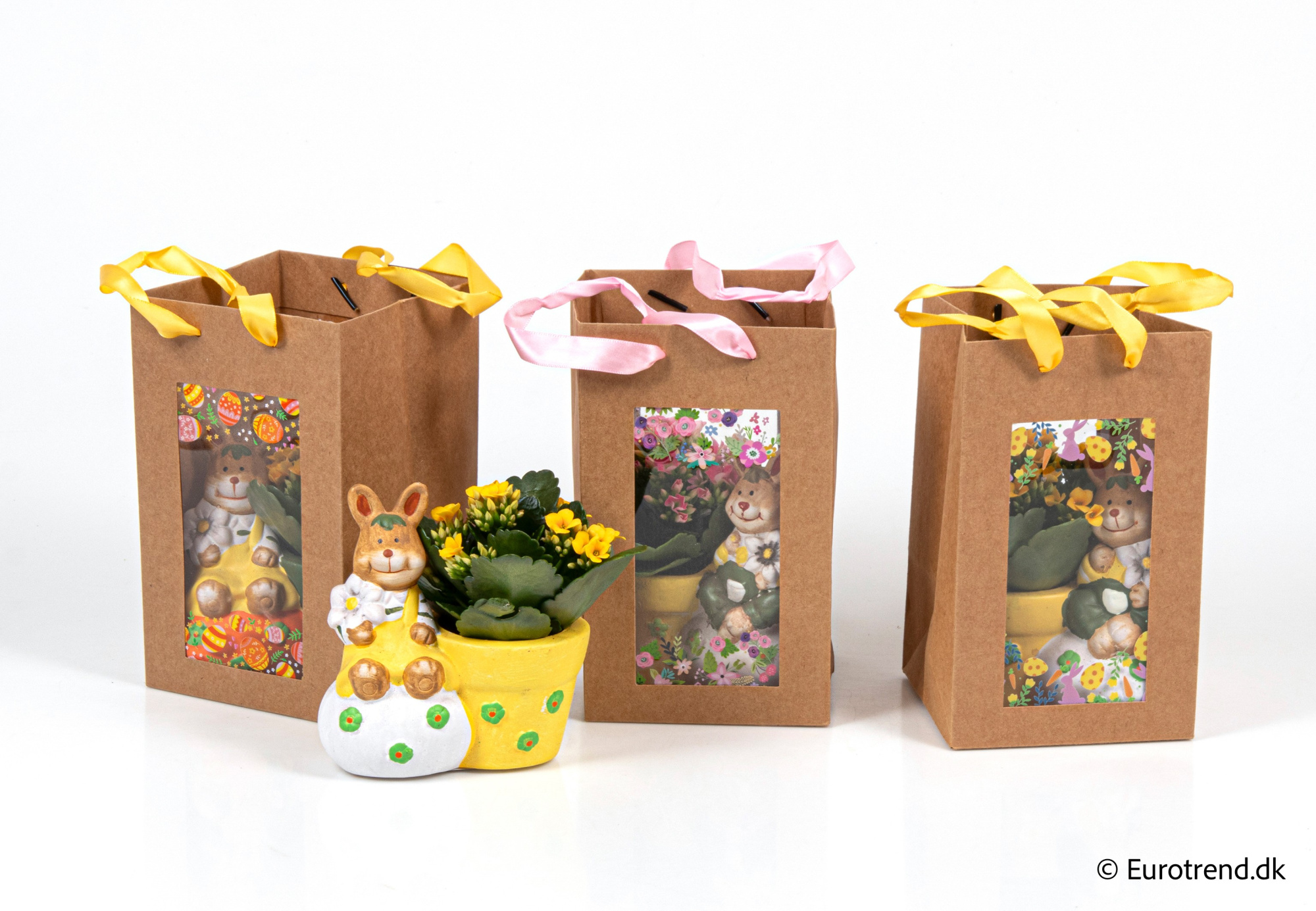 Kalanchoe in Easter ceramic 2026, D 6