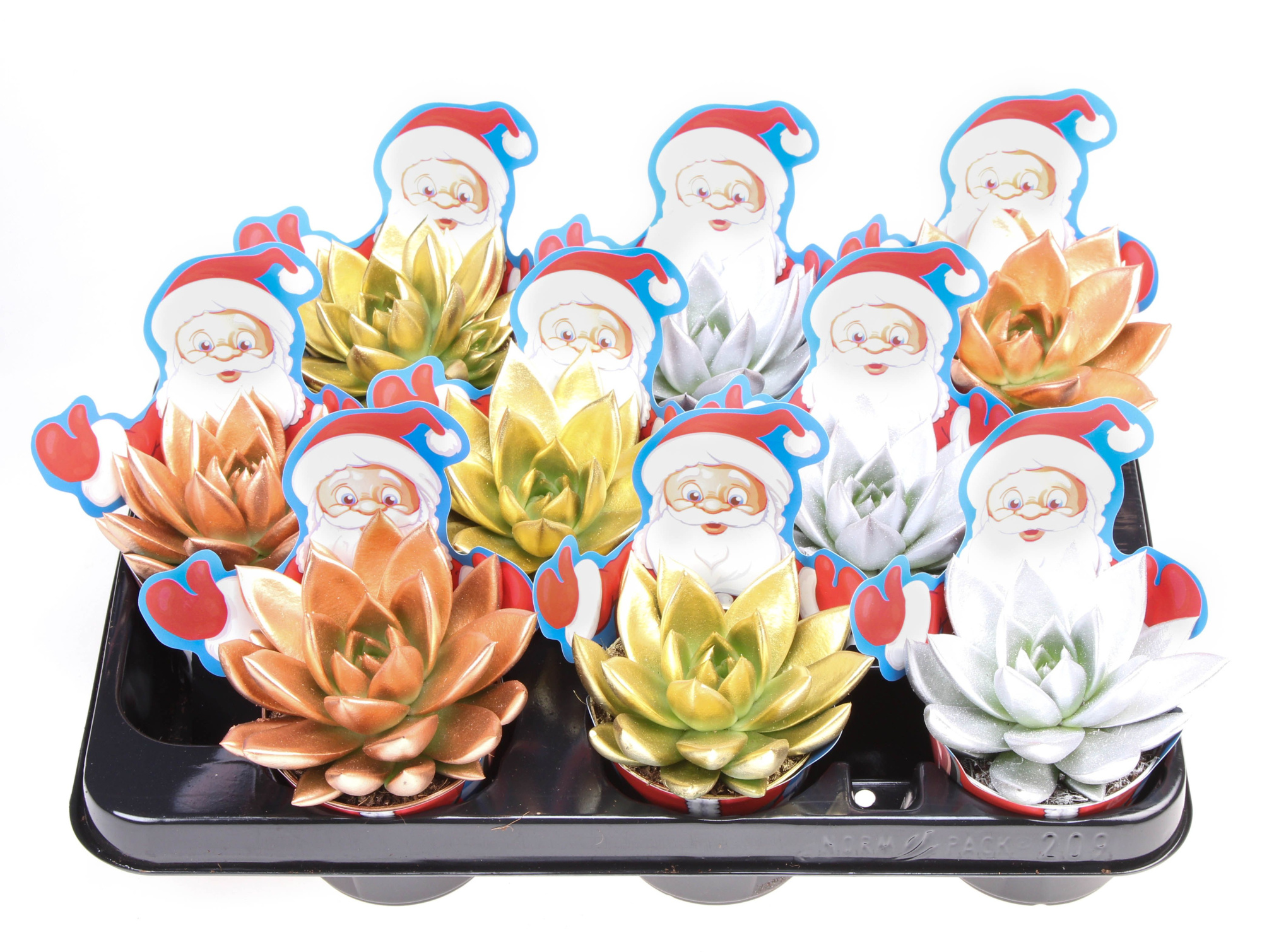 Potcover santaclaus miranda rainbow, D 8,5