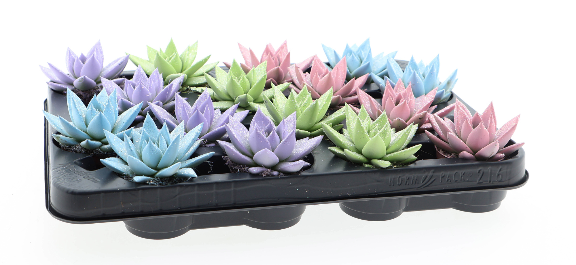 Miranda pastel glittermix, D 6