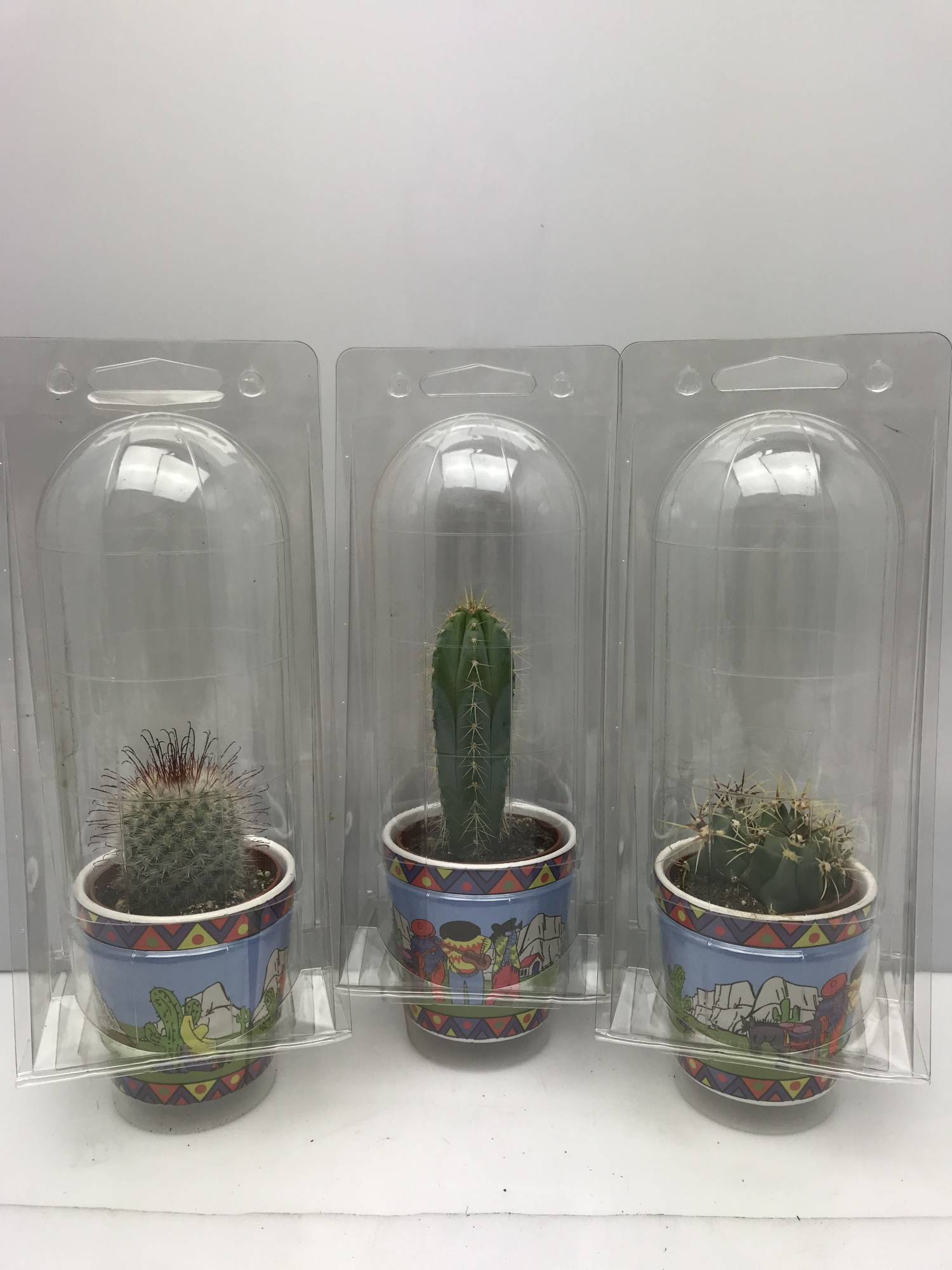 366 Gringopot soloblister cac 6,5 cm, D 8