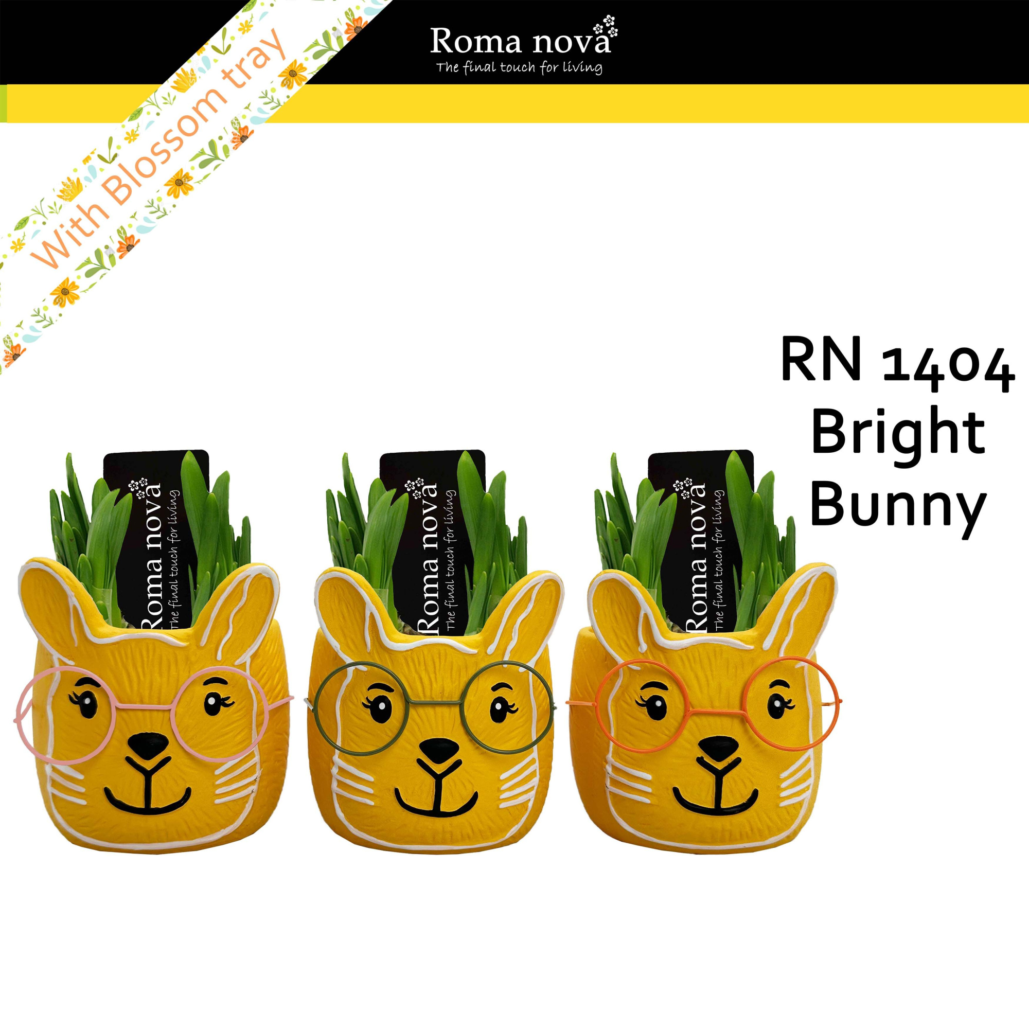 1404 - Bright Bunny (Tete a Tete), D 11