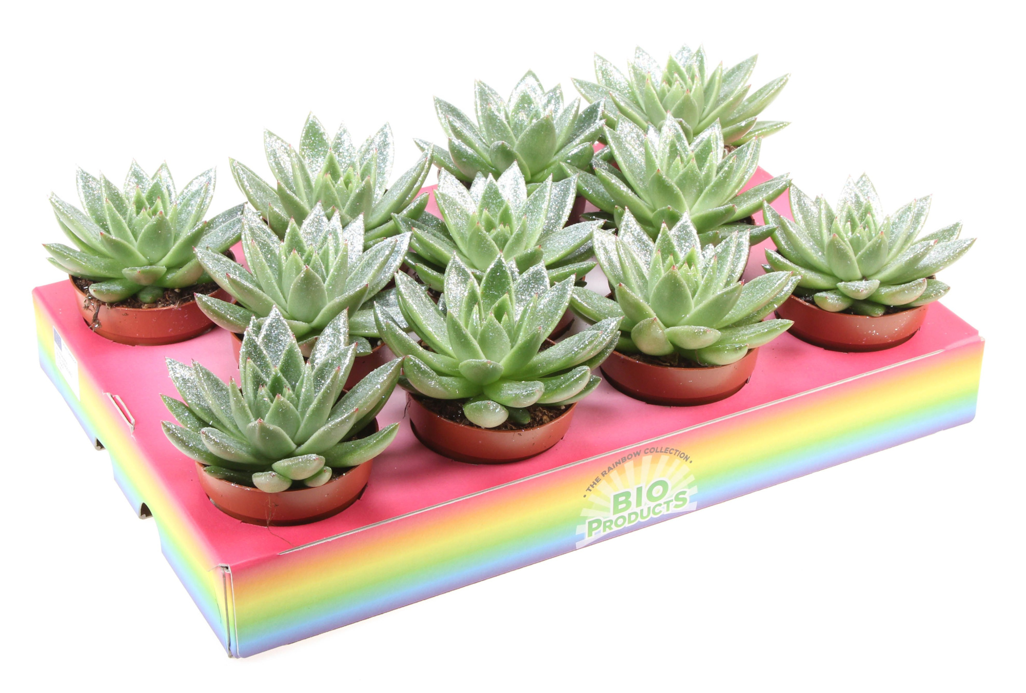 Bio miranda naturel glitter, D 8,5