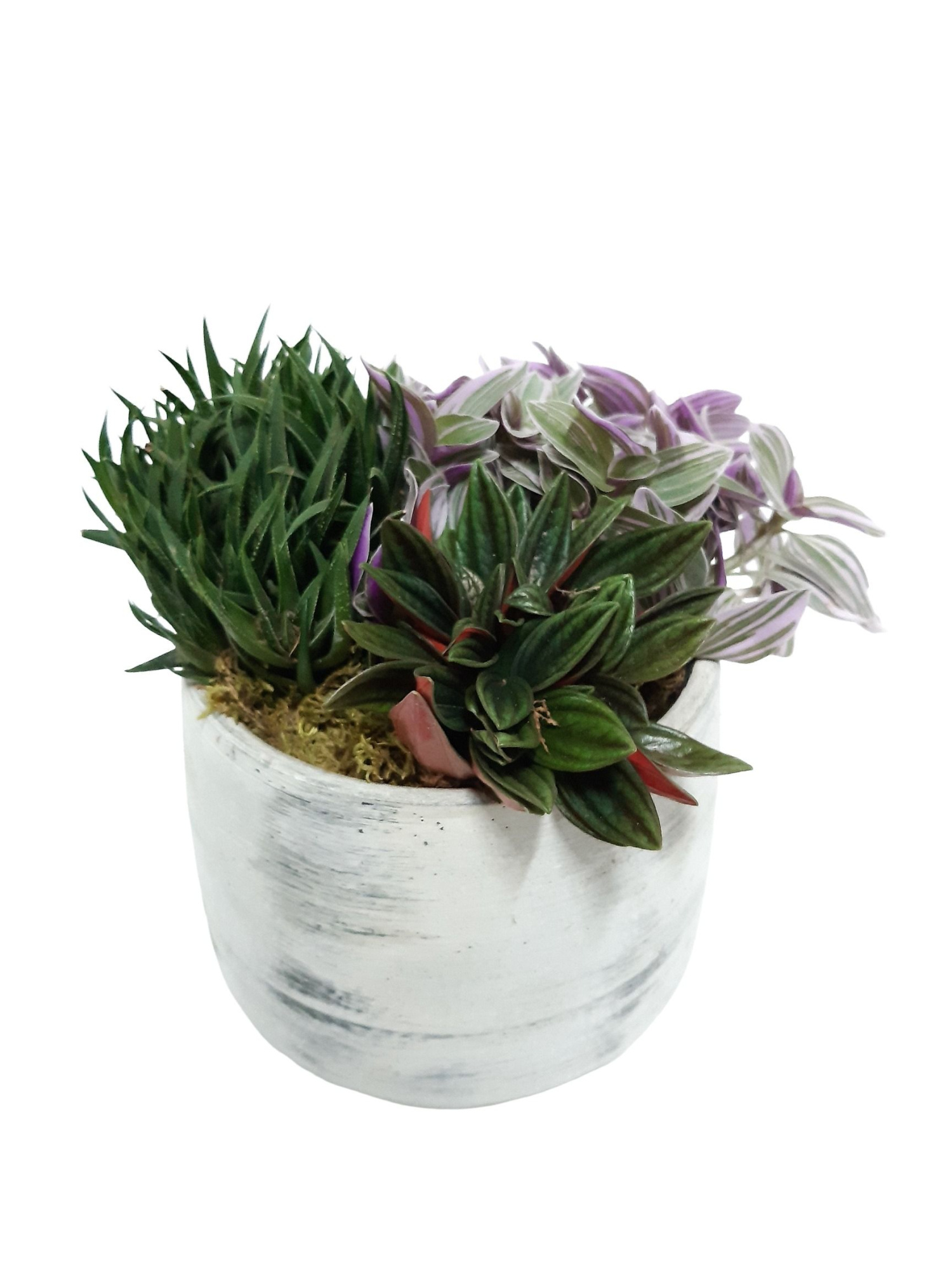 VPR18HMX Vintage pot D18 groenmix Trad.Pep,Haw, D 16