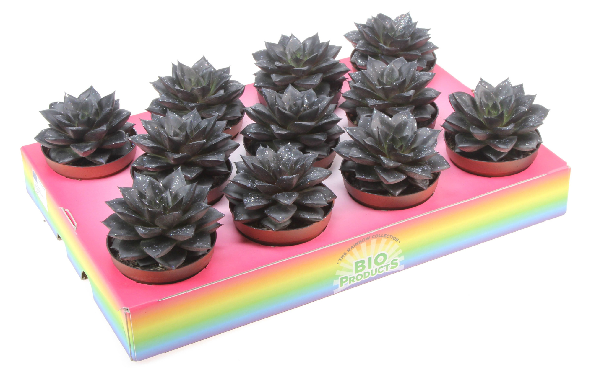 Bio purper black glitter, D 8,5