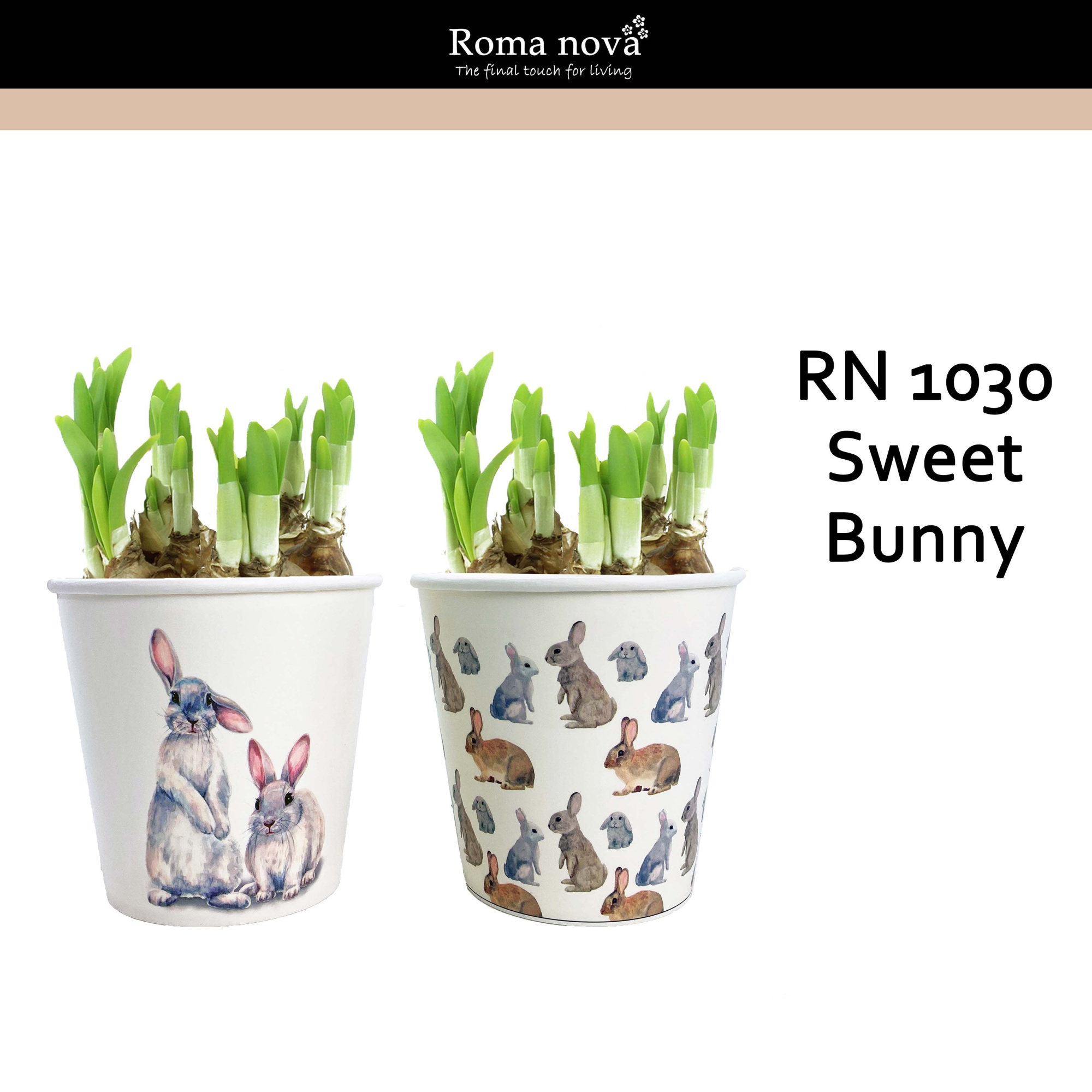 1030 - Sweet Bunny (Tete a Tete), D 12