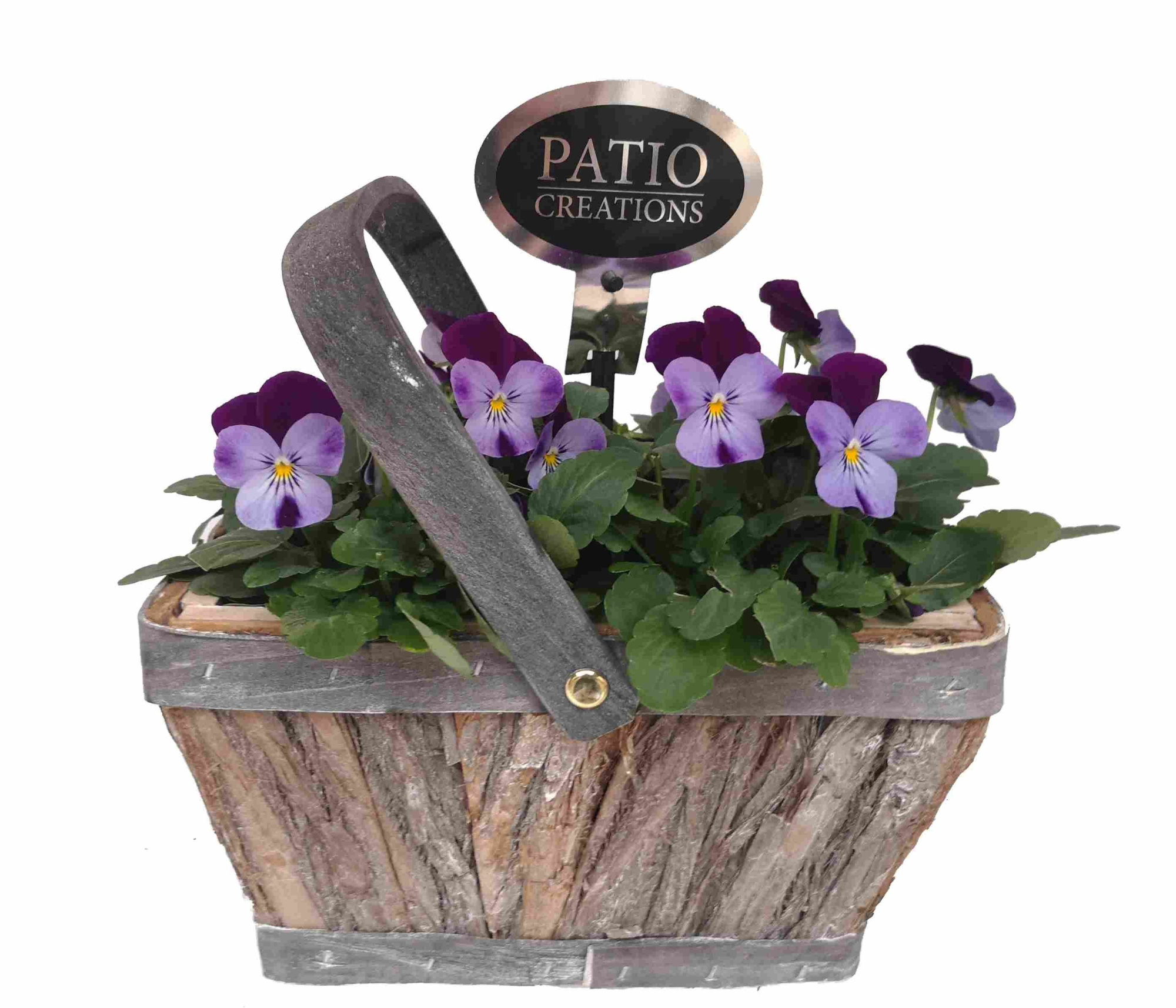 V704-9001 Viola bosmand hengsel S, D 21