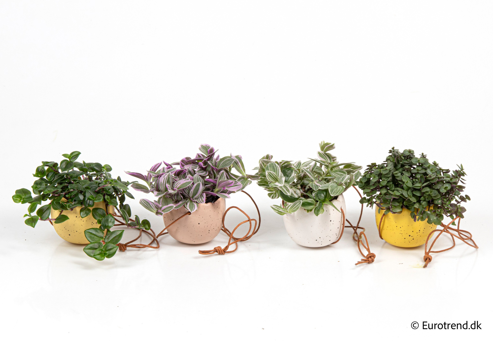 Green mix in Easter ceramic 2026, D 6