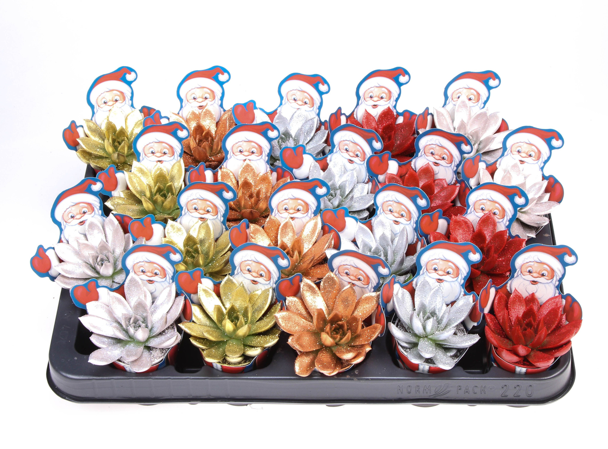 Potcover santaclaus glitter mix + bio glitter, D 5,5