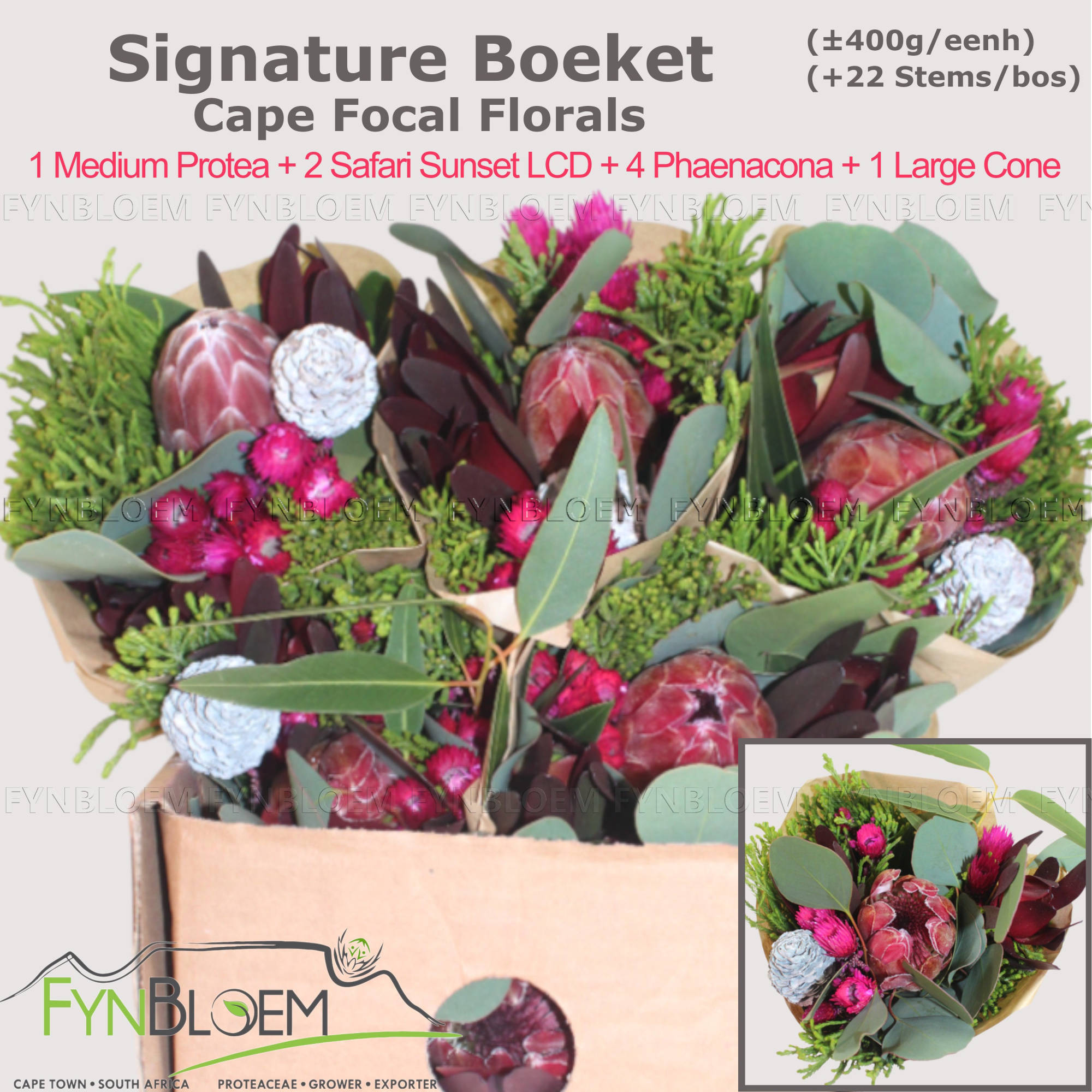 Протея Овериг за пучок 40, пуч.