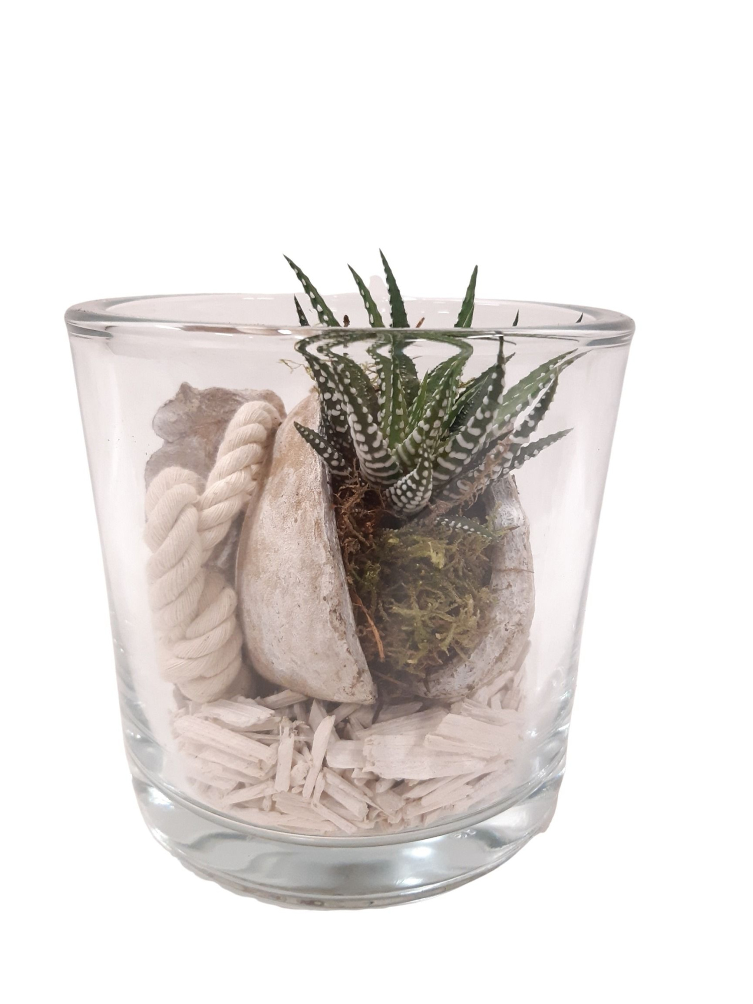 BNG14WHI Cil glas dik Haw+Buddha Nut + deco wit, D 14