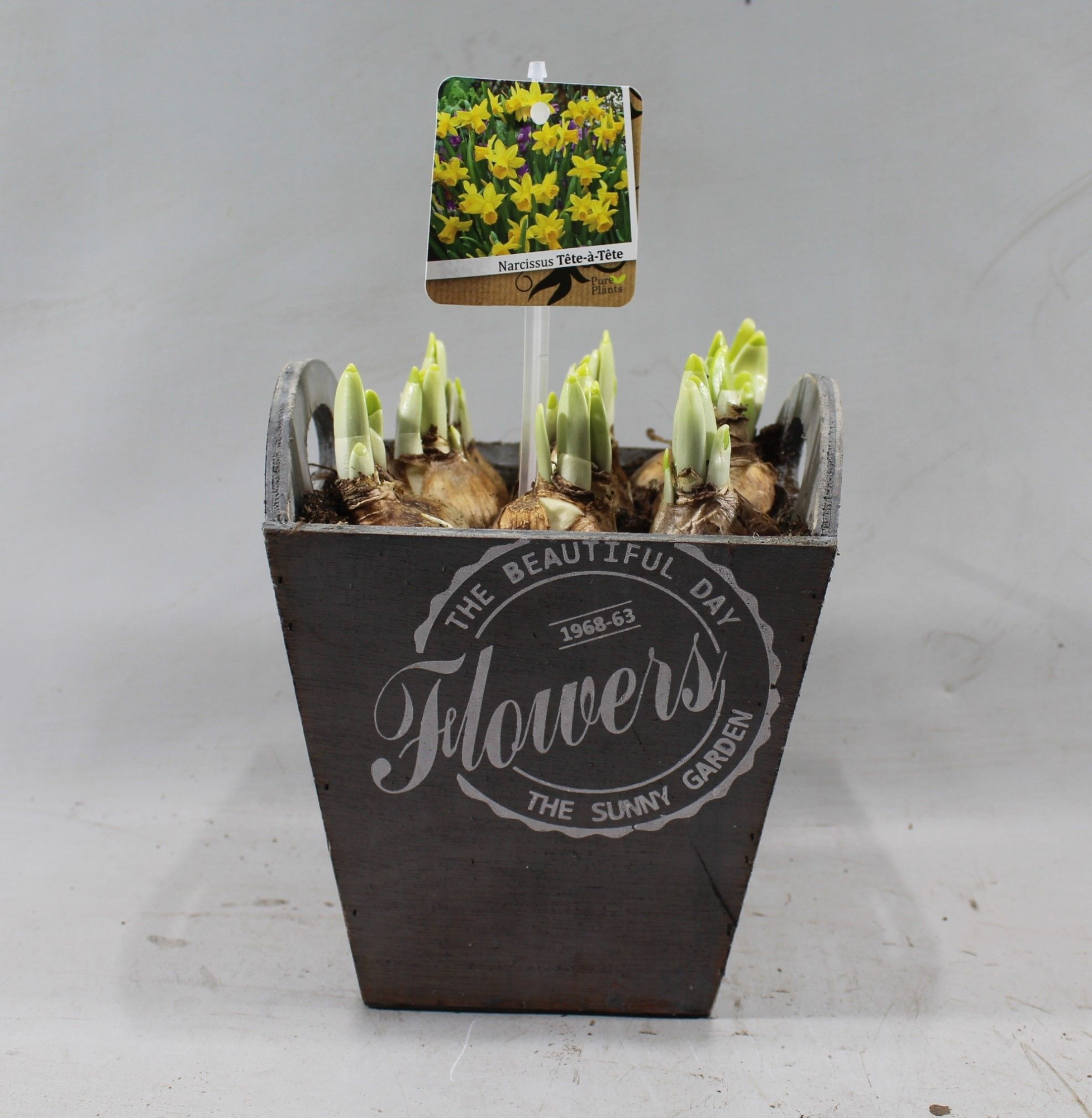 Narcis in vierkant, hoog oortjes, grijs, 'flowers' opdruk, D 17 cm