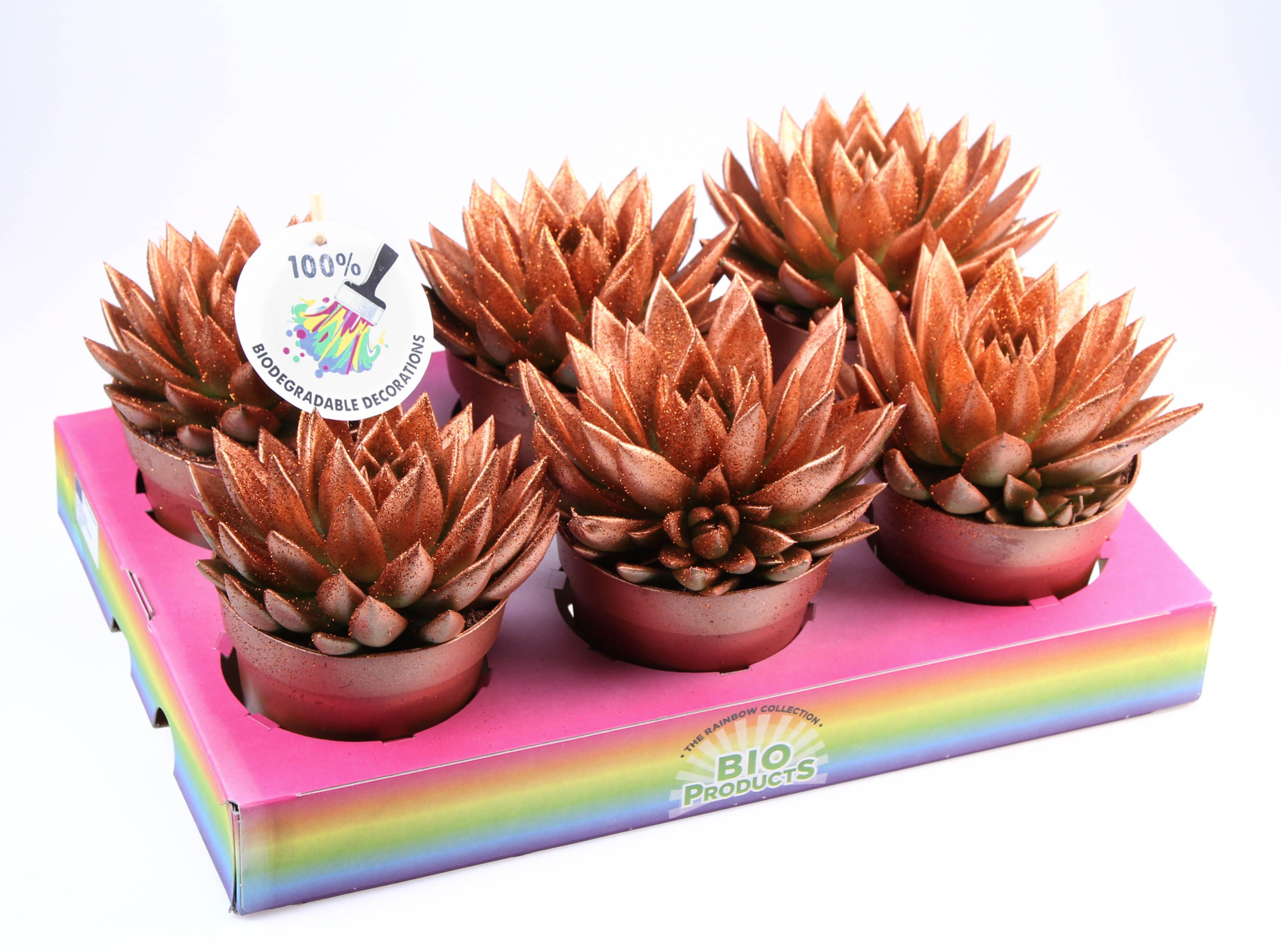 Bio miranda bronze glitter, D 12