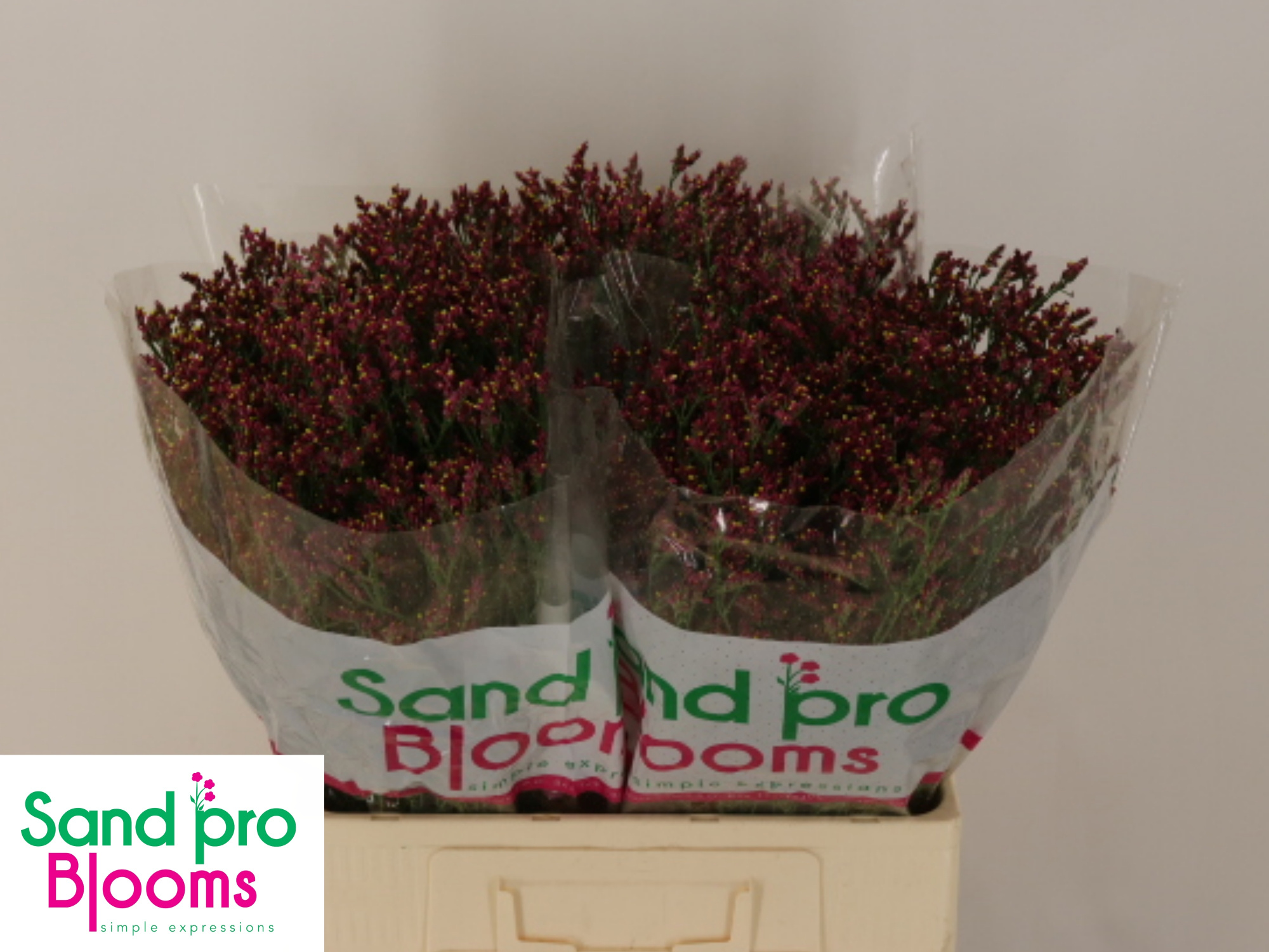 Лимониум Скарлет Даймонд 60, шт.