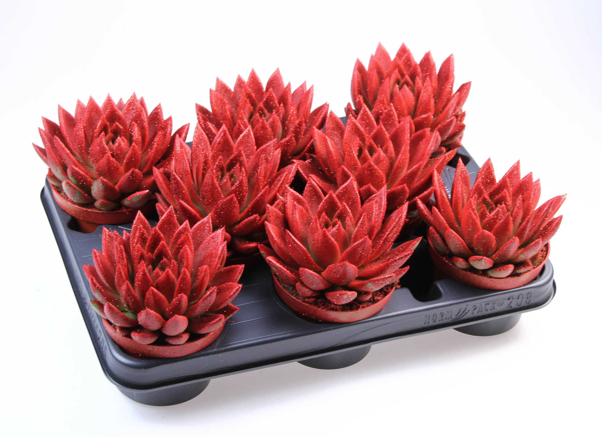 Miranda rood + bio glitter, D 10,5