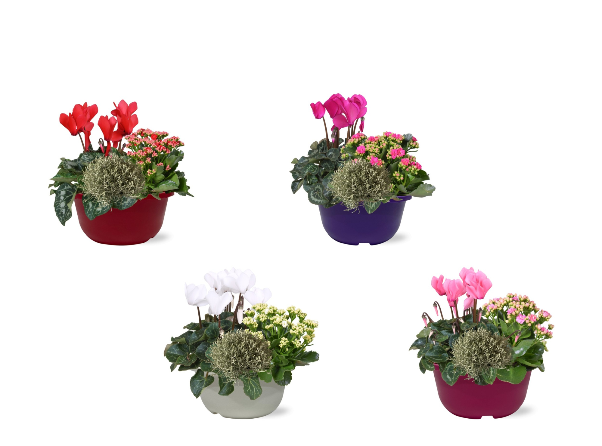 Hello Autumn trio in schaal 19 cm, D 19