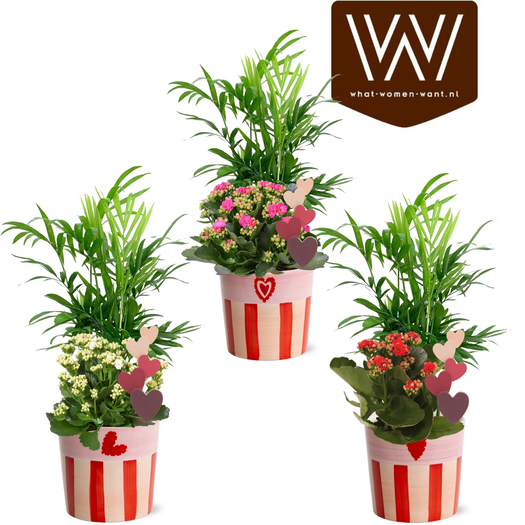 Collectie "Sympathetic Moods" - Arrangement in keramiek Romee, D 12