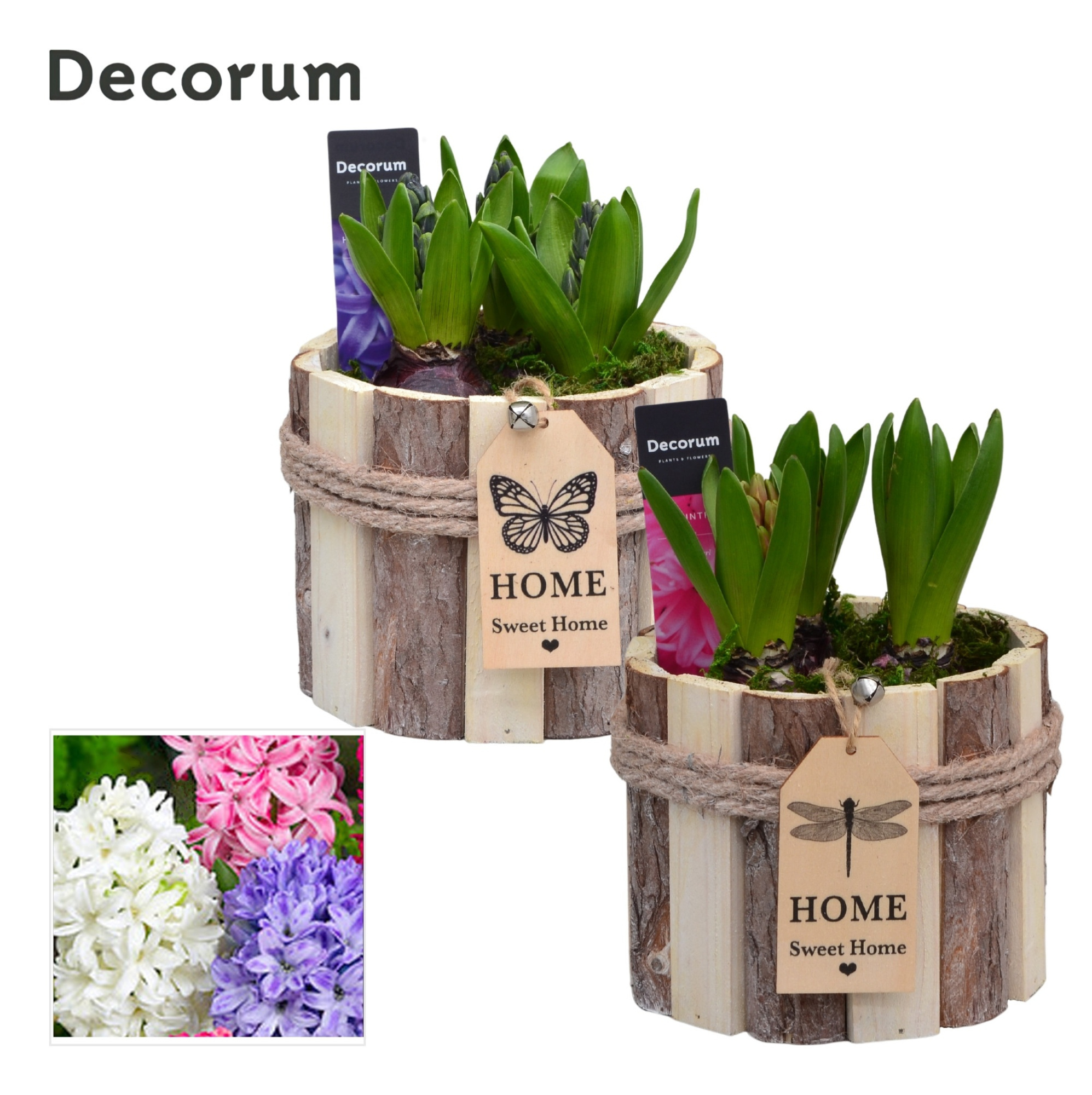 Hyacint Tak Rond HL17761 [PURE], D 14